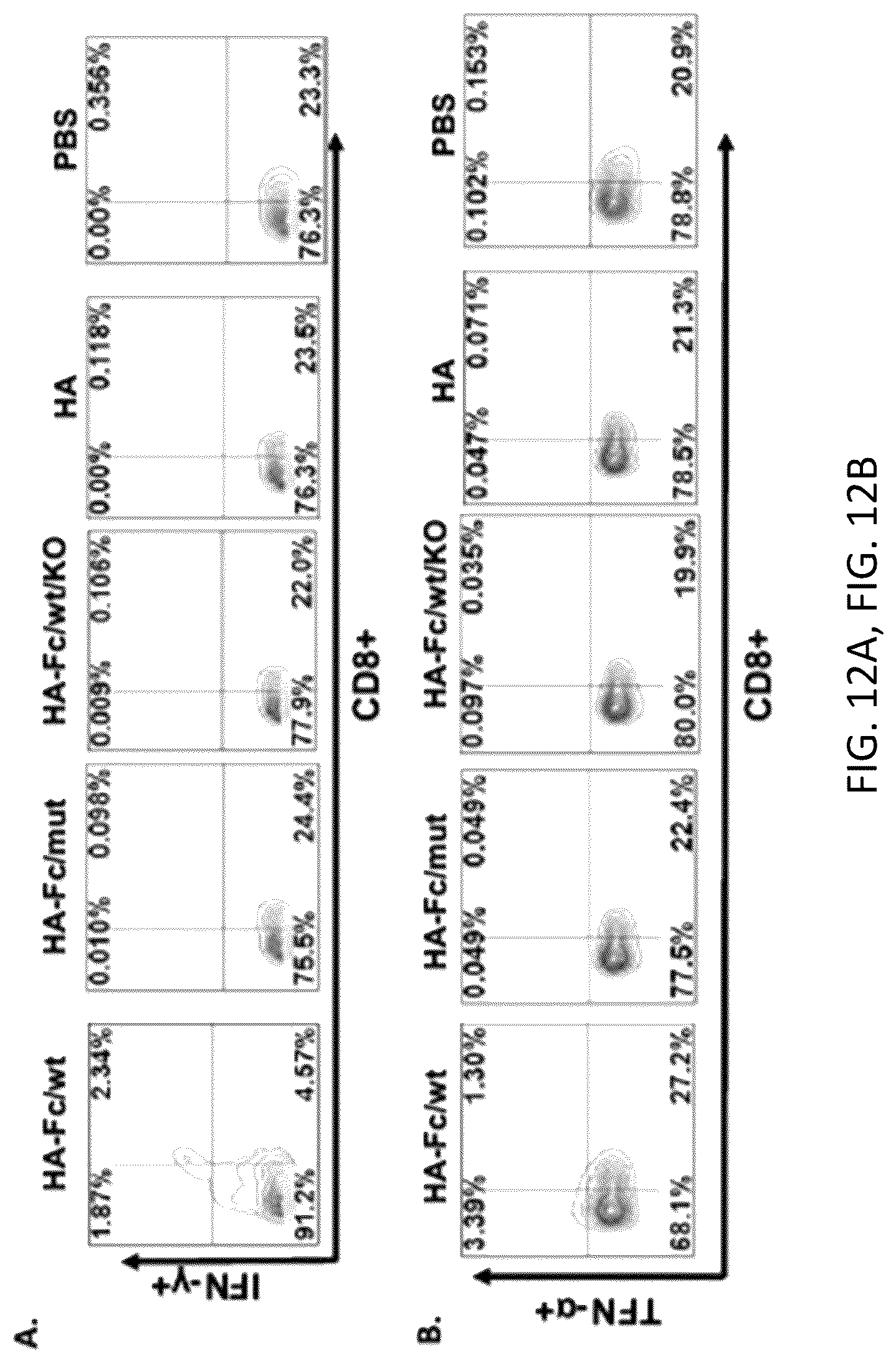 Patent US12297233 Figure 16 – FcRn-targeted mucosal vaccination against influenza infections