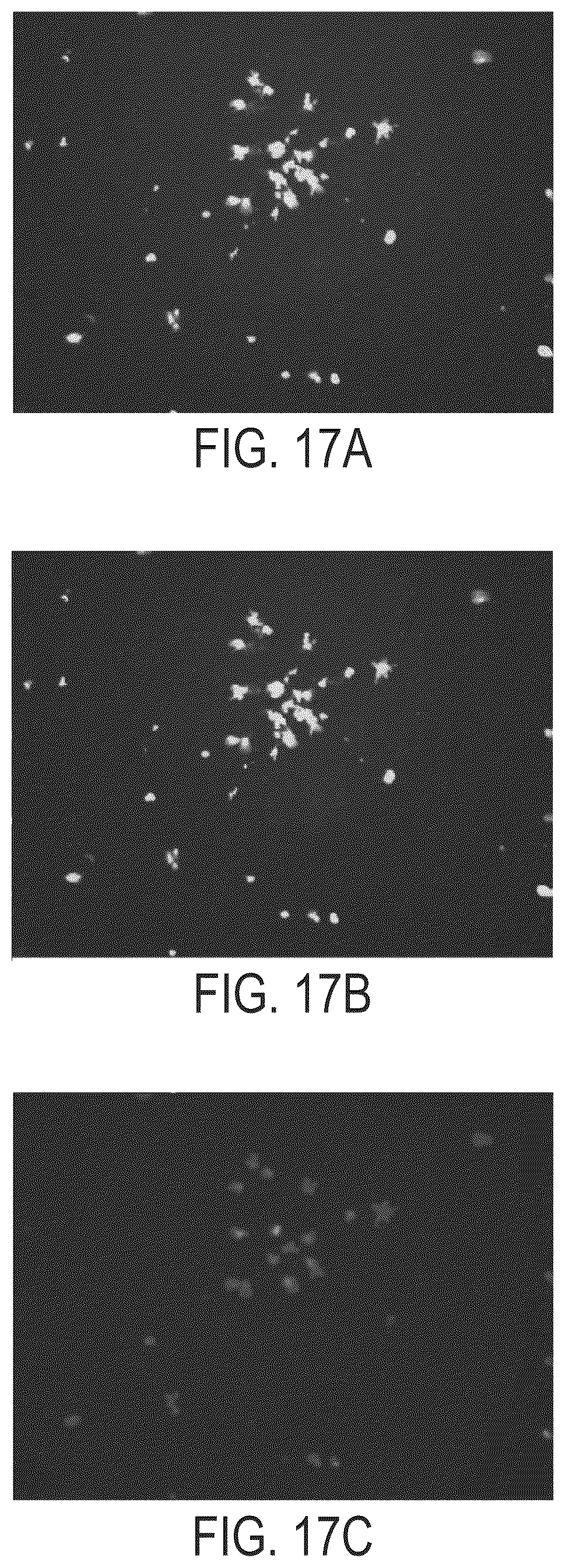 Patent US12297235 Figure 18 – Synthetic peptide compounds and methods of use