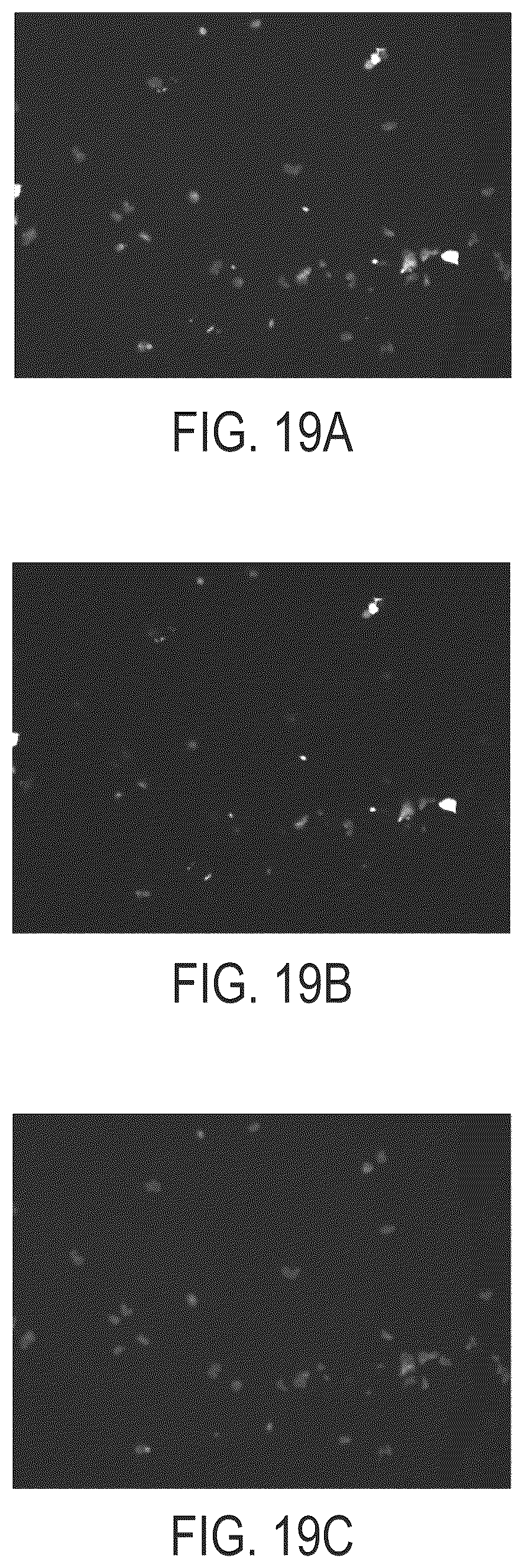 Patent US12297235 Figure 20 – Synthetic peptide compounds and methods of use