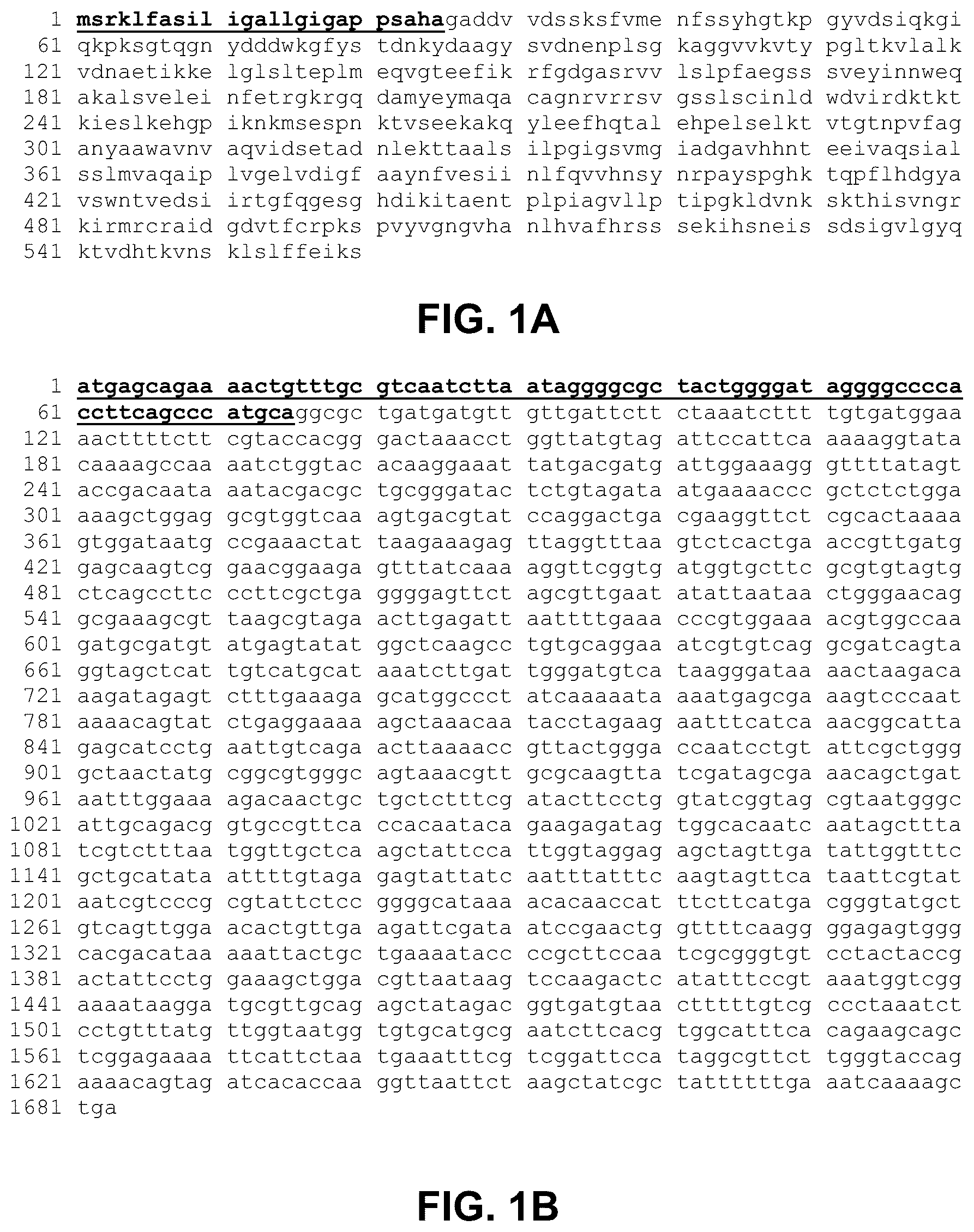 Patent US12297239 — E. coli deficient in Lon and SulA for gene targeting — Figure 1