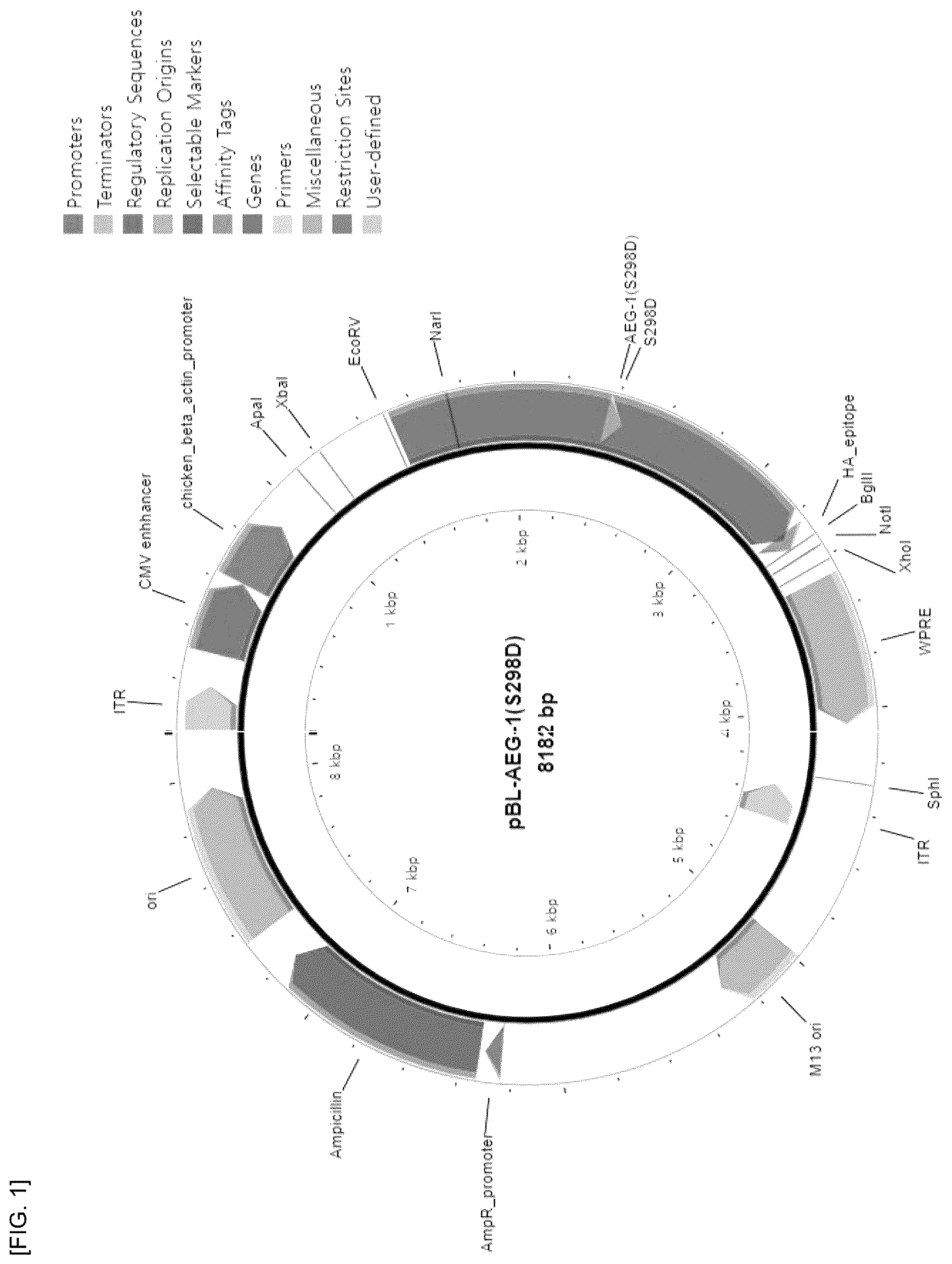 Patent US12297242 — Composition for preventing or treating Parkinson's disease, comprising AEG-1 S298D as active ingredient — Figure 1