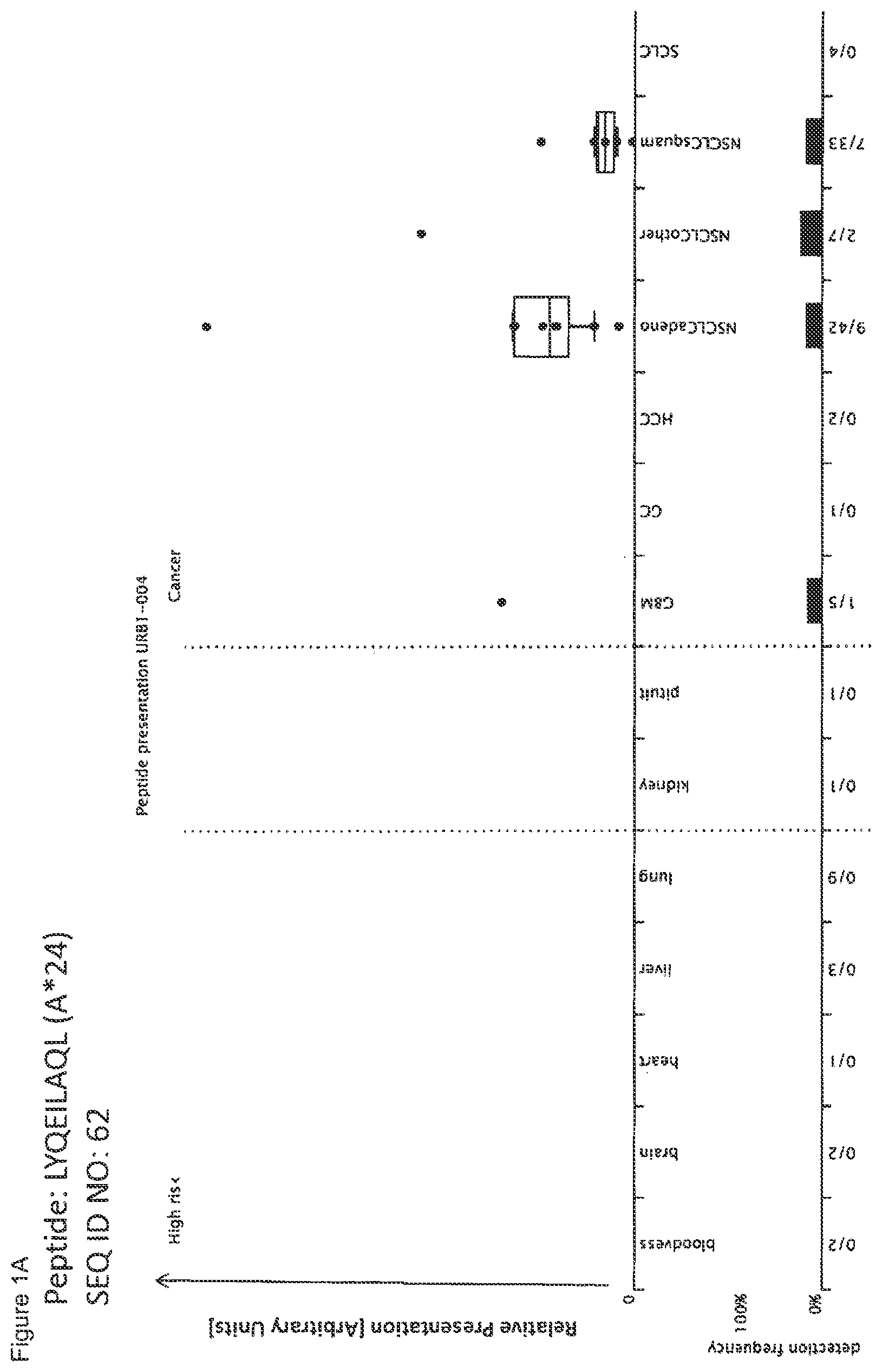 Patent US12297245 — Peptides and combination of peptides for use in immunotherapy against lung cancer, including NSCLC, SCLC and other cancers — Figure 1