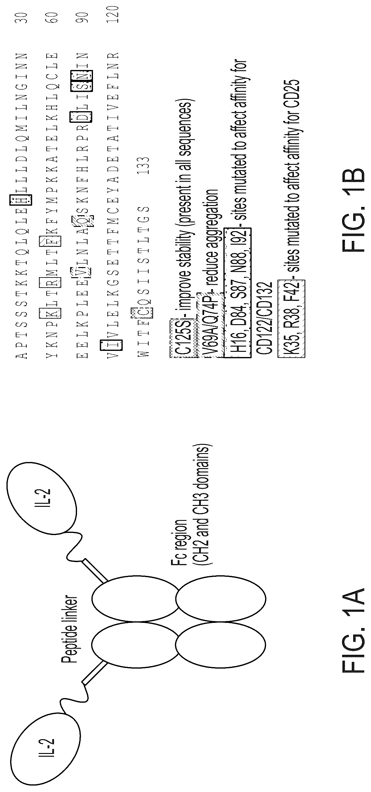 Patent US12297249 — Interleukin-2 agents and uses thereof — Figure 1