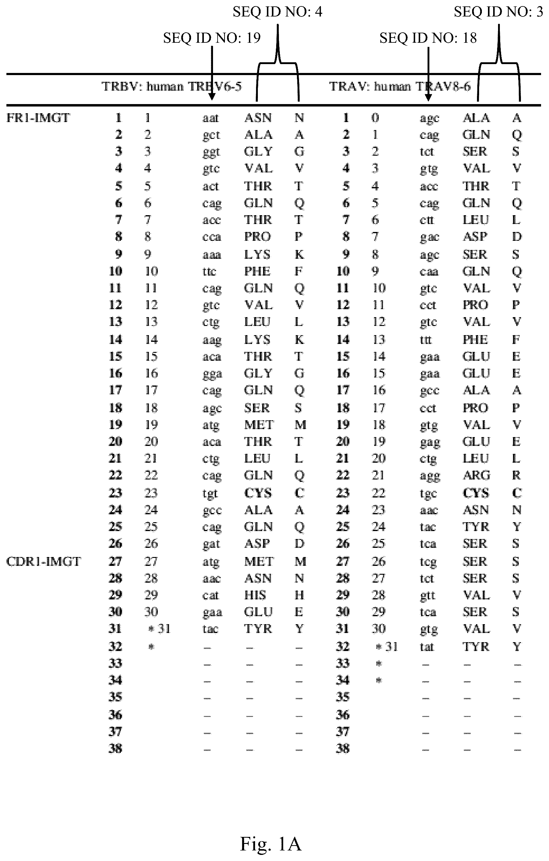 Patent US12297252 — T cell receptors with improved pairing — Figure 1