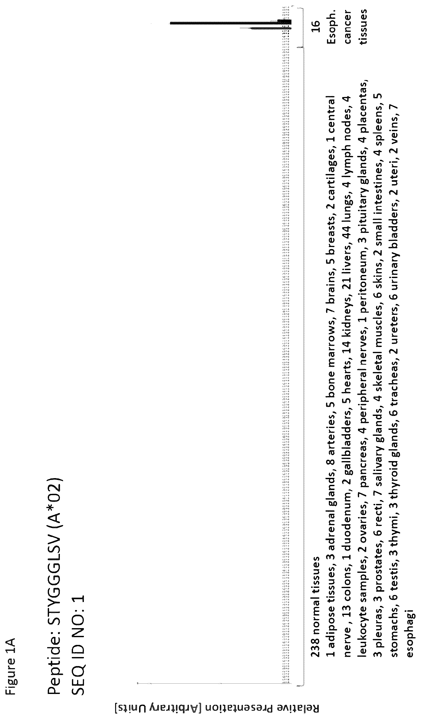 Patent US12297254 — Peptides and combination of peptides for use in immunotherapy against esophageal cancer and other cancers — Figure 1