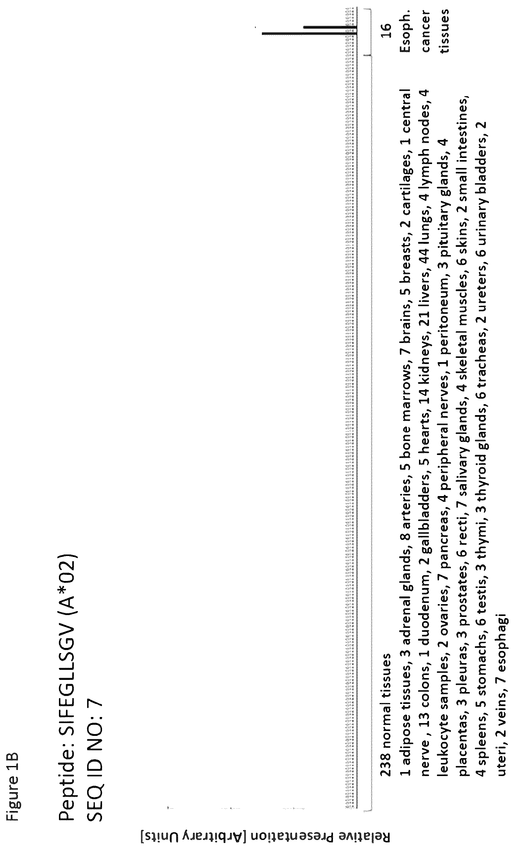 Patent US12297254 Figure 2 – Peptides and combination of peptides for use in immunotherapy against esophageal cancer and other cancers