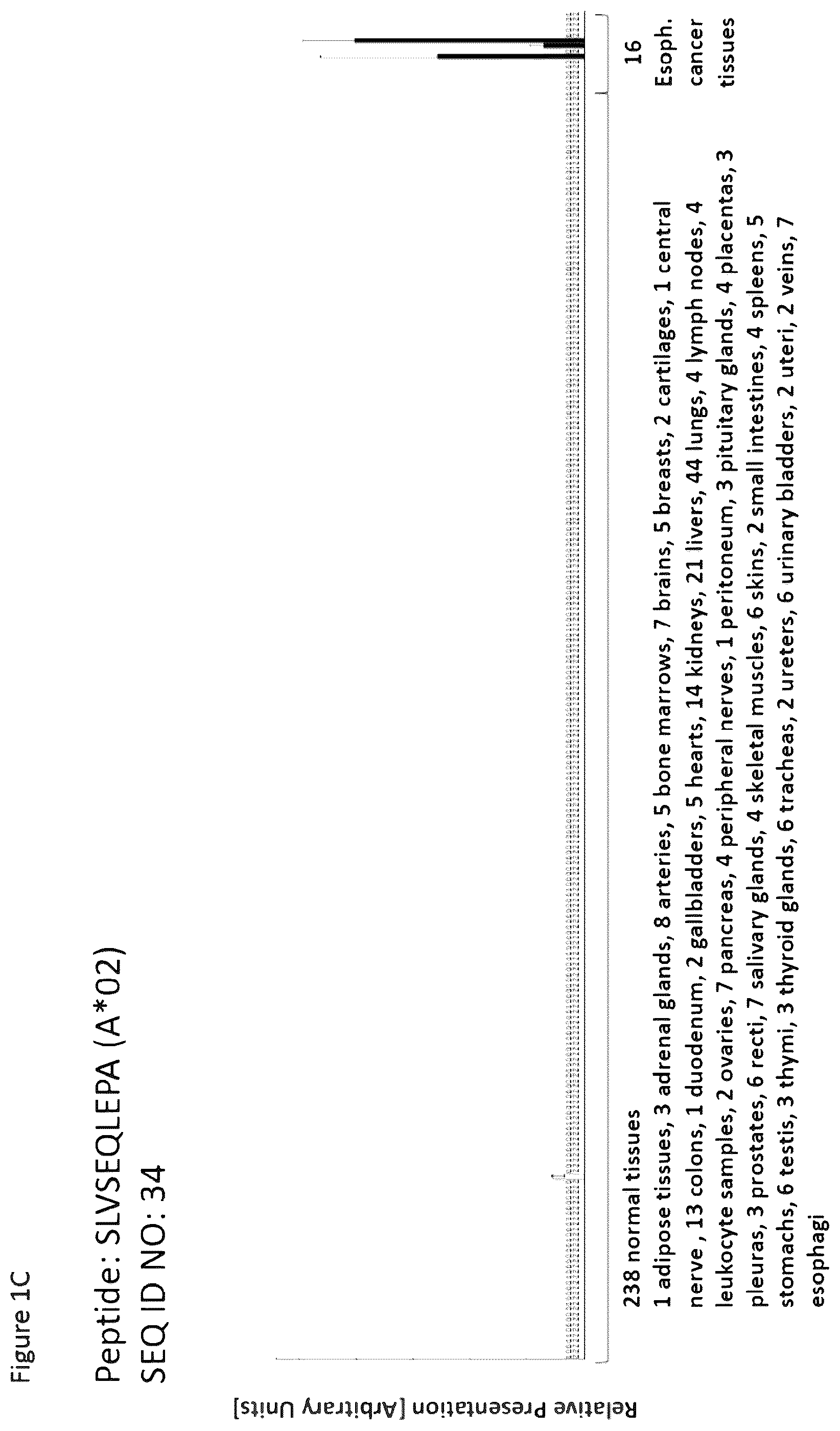 Patent US12297254 Figure 3 – Peptides and combination of peptides for use in immunotherapy against esophageal cancer and other cancers