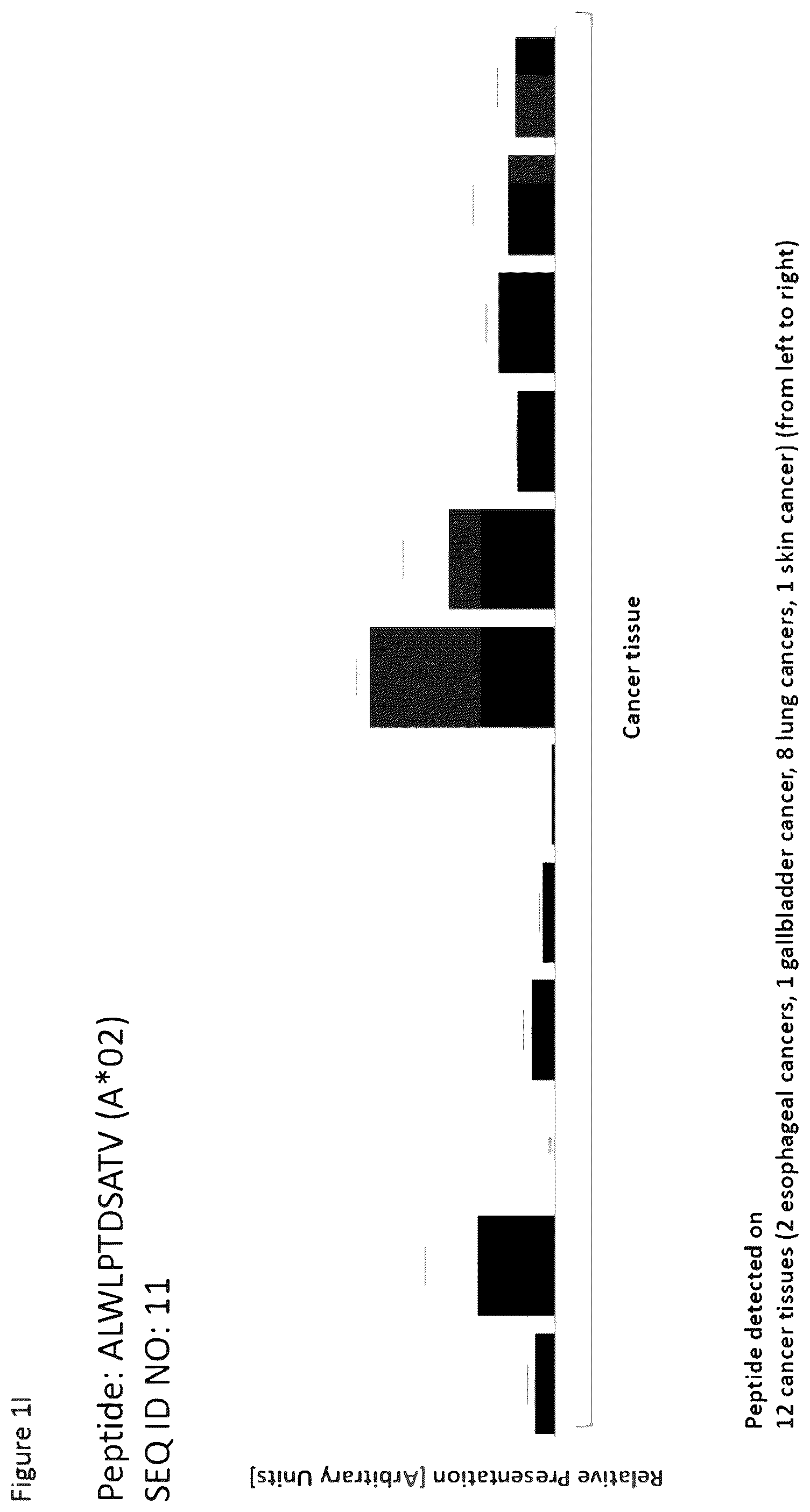 Patent US12297254 Figure 9 – Peptides and combination of peptides for use in immunotherapy against esophageal cancer and other cancers