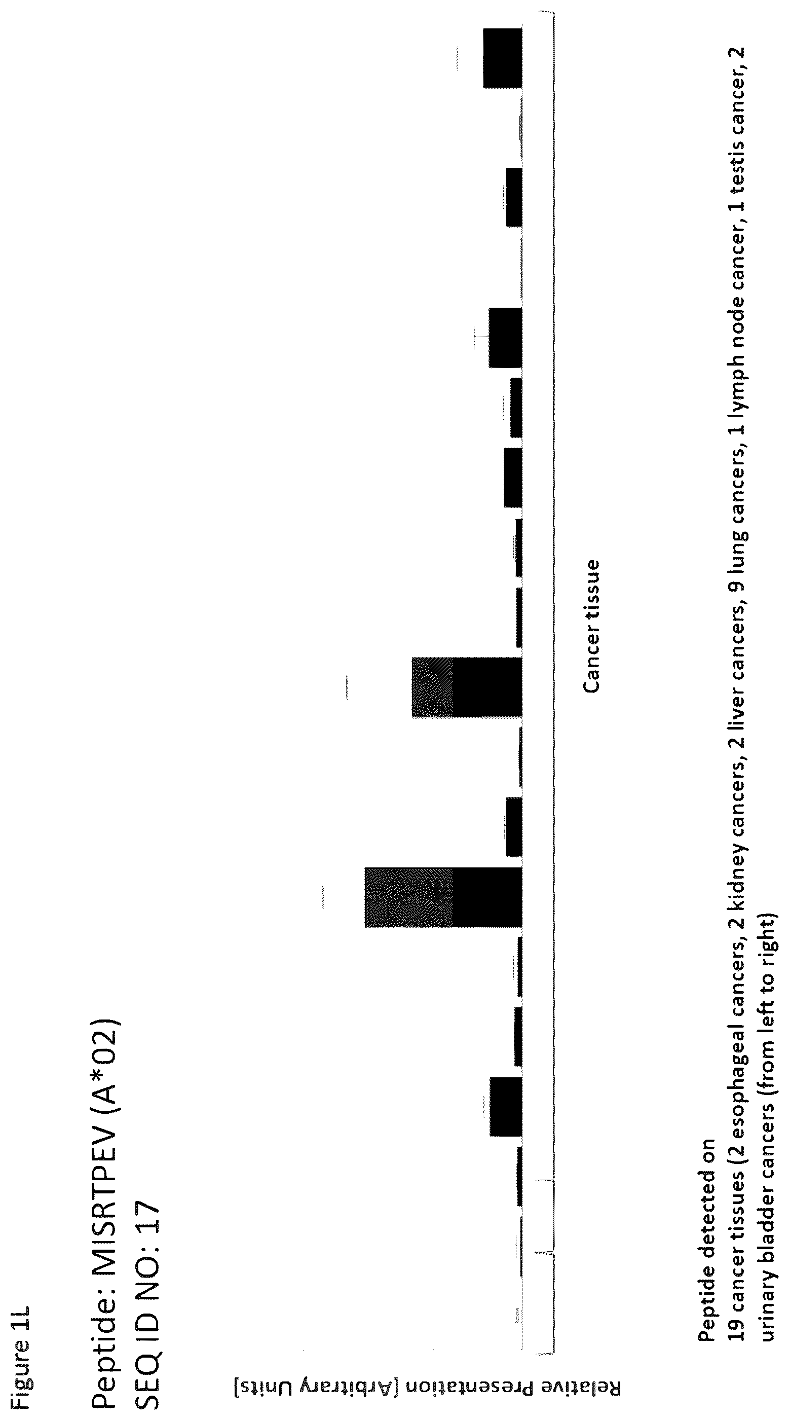 Patent US12297254 Figure 12 – Peptides and combination of peptides for use in immunotherapy against esophageal cancer and other cancers