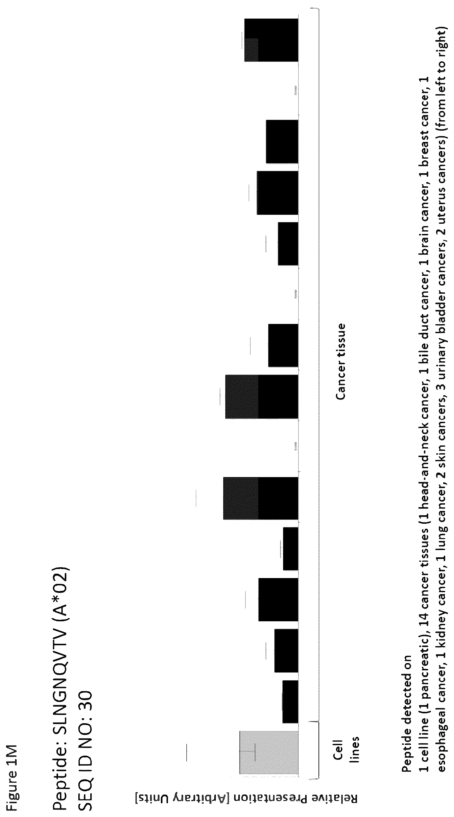 Patent US12297254 Figure 13 – Peptides and combination of peptides for use in immunotherapy against esophageal cancer and other cancers
