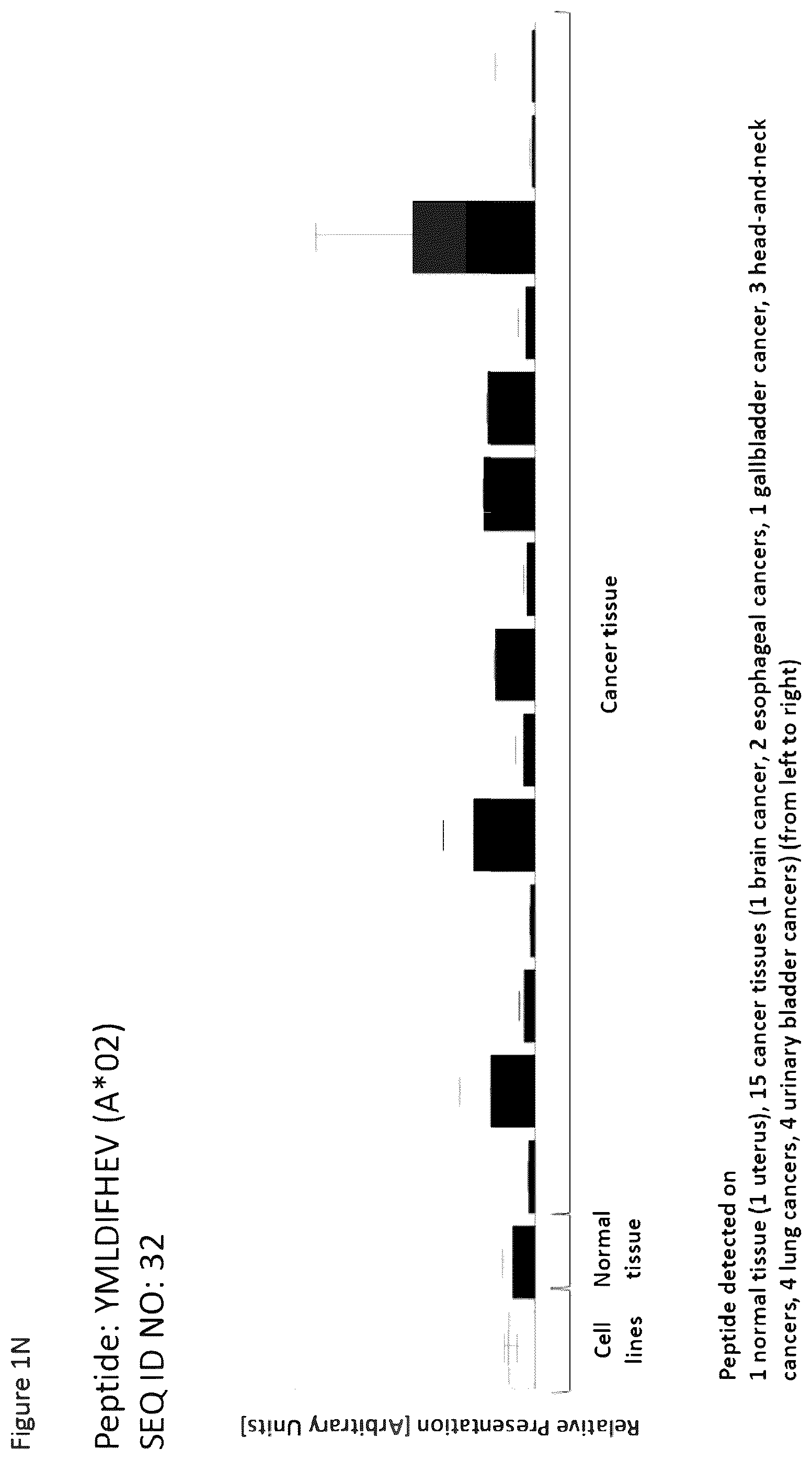 Patent US12297254 Figure 14 – Peptides and combination of peptides for use in immunotherapy against esophageal cancer and other cancers