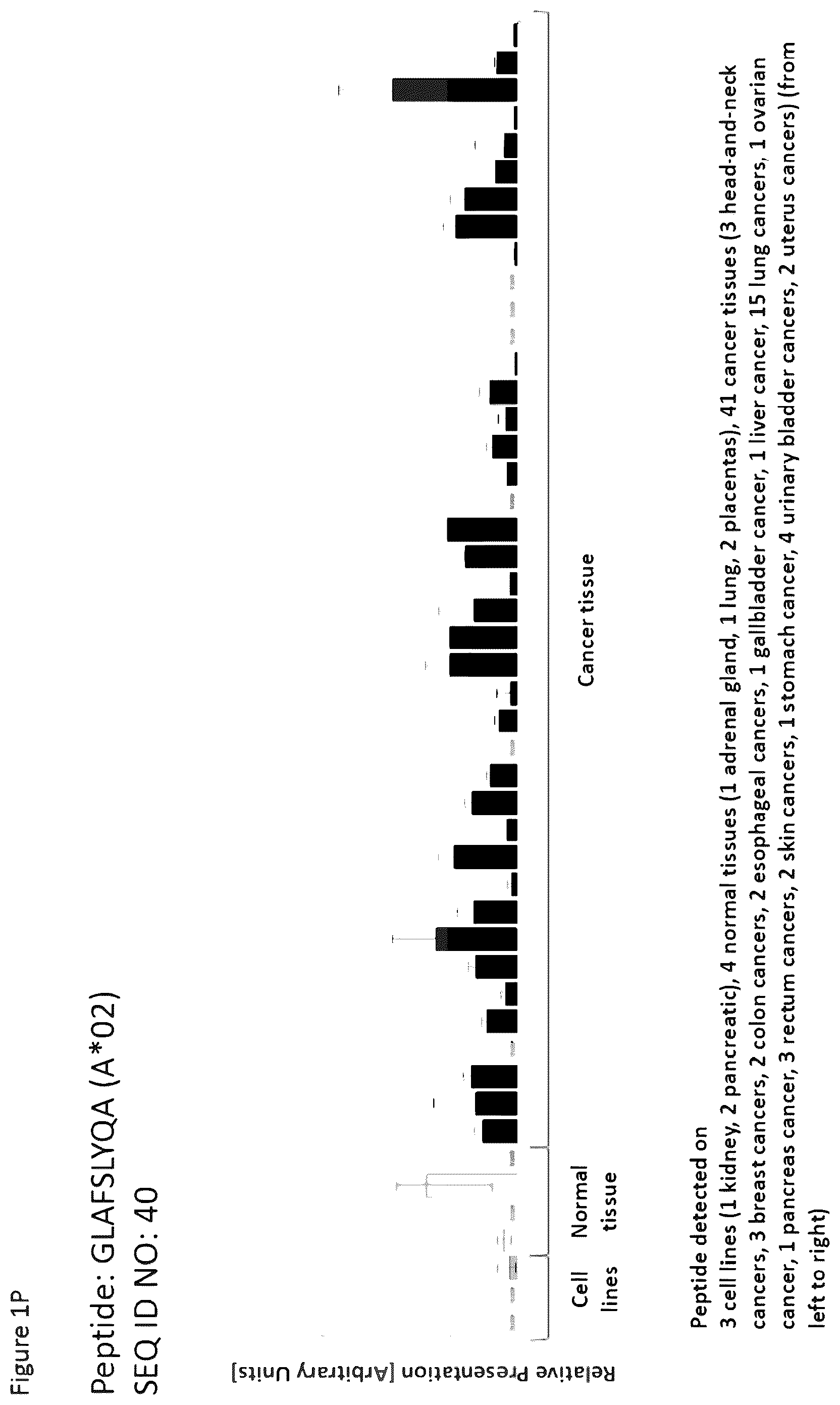 Patent US12297254 Figure 16 – Peptides and combination of peptides for use in immunotherapy against esophageal cancer and other cancers