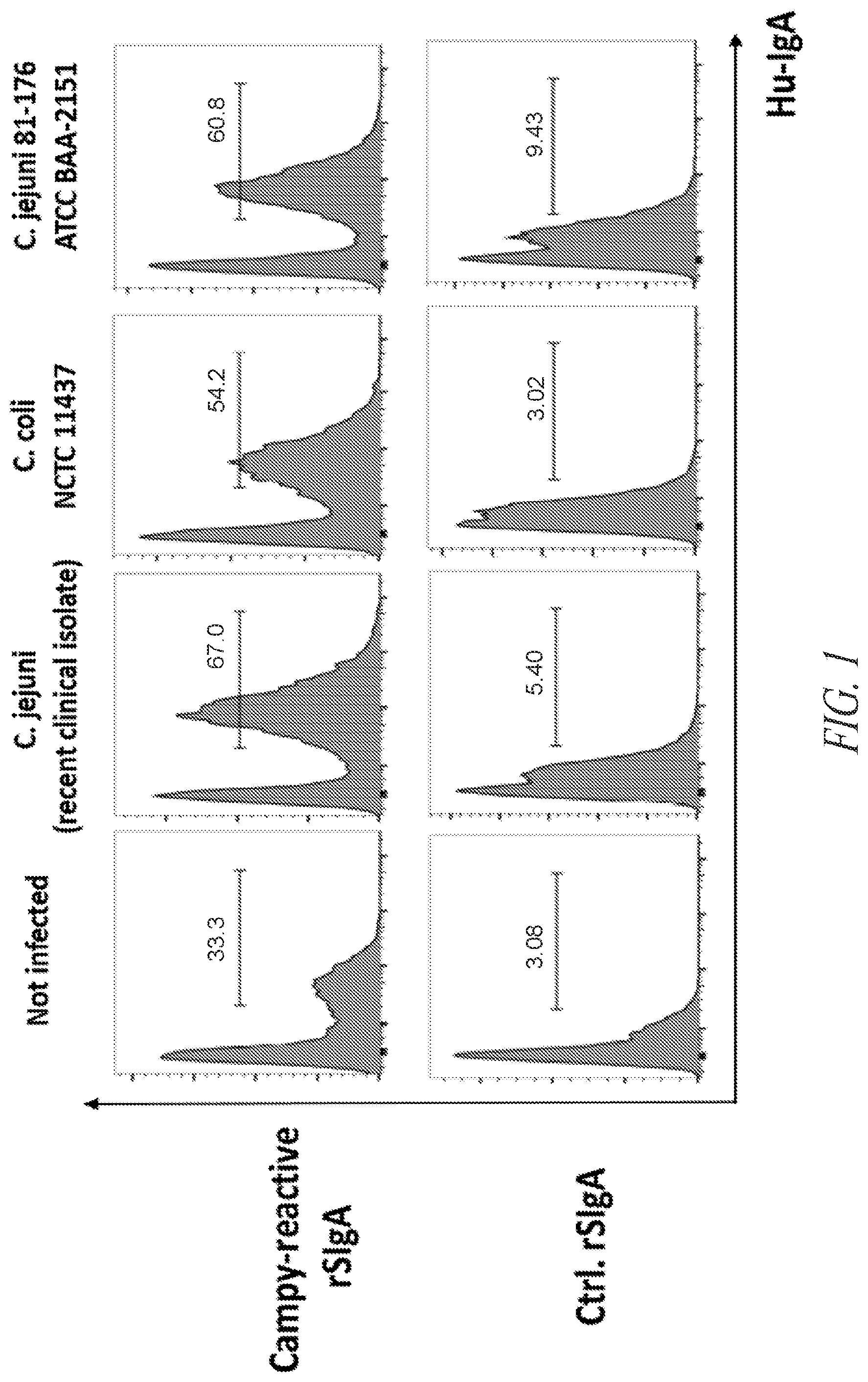 Patent US12297258 Figure 1 – Antibodies against Campylobacter species