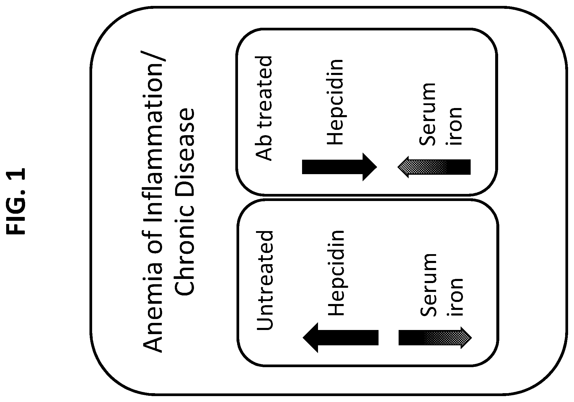 Patent US12297262 — RGMC-selective inhibitors and use thereof — Figure 1