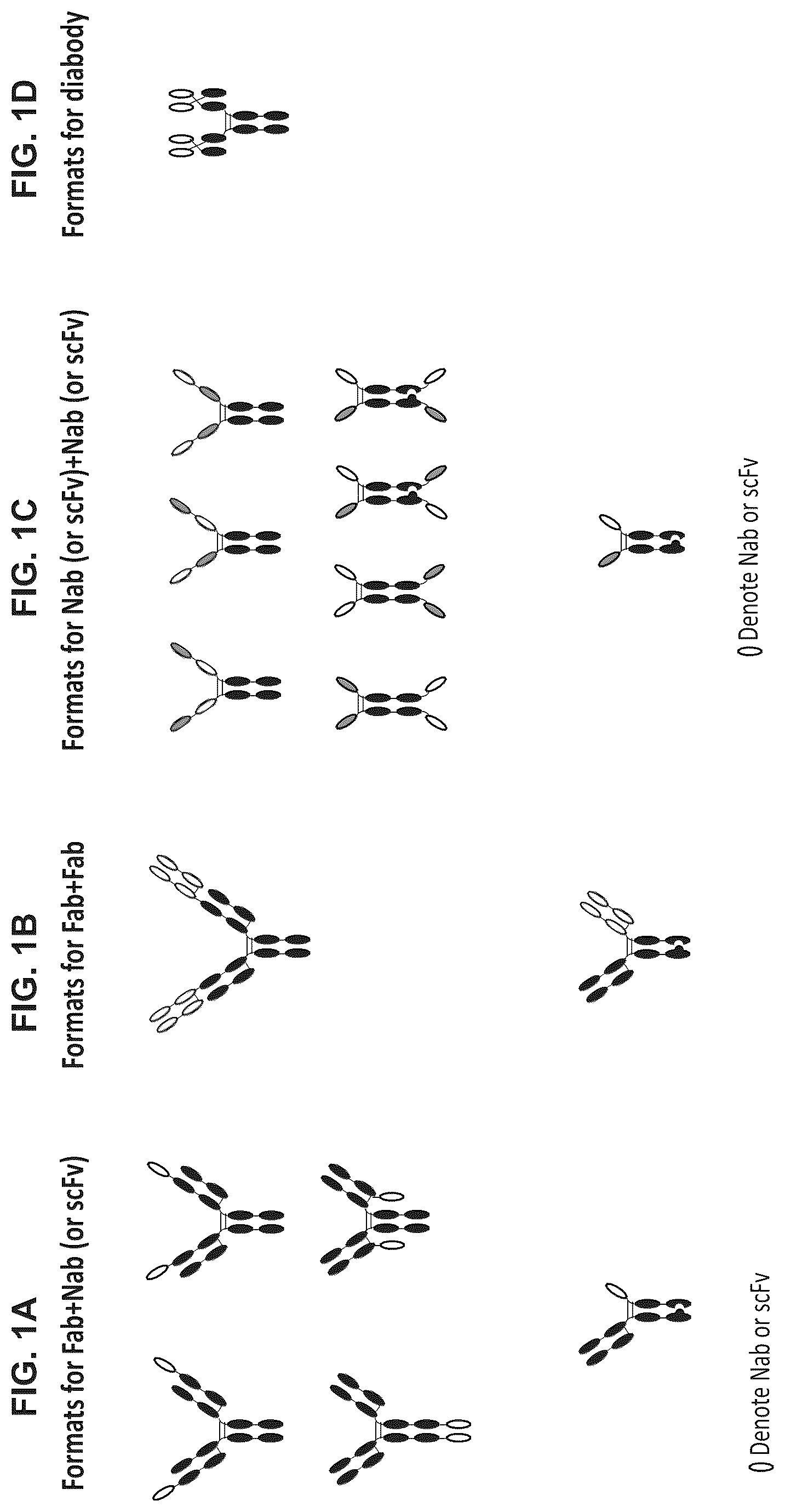 Patent US12297278 Figure 1 – Wnt surrogate molecules and uses thereof