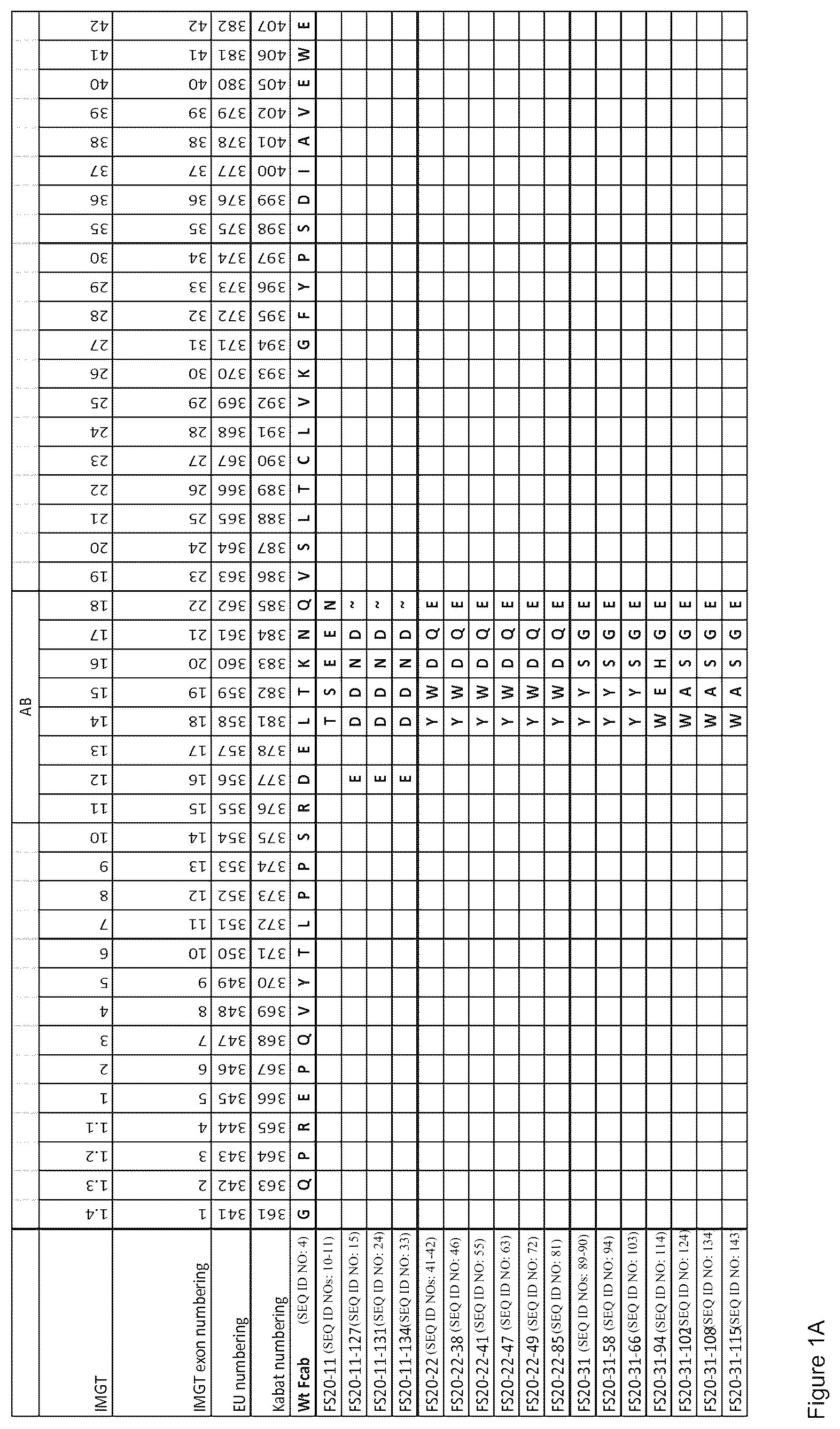 Patent US12297283 — Fc binding fragments comprising an OX40 antigen-binding site — Figure 1