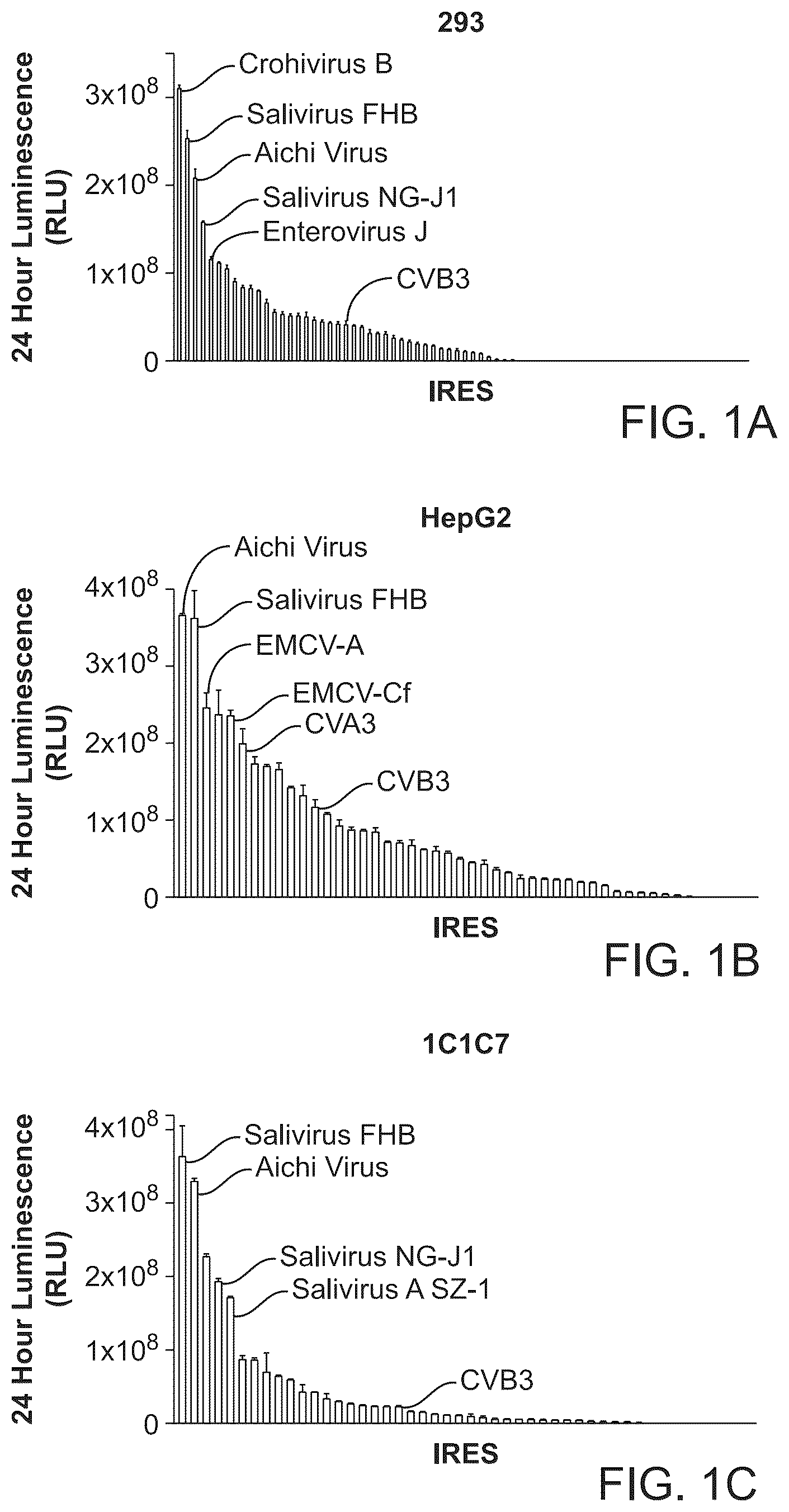 Patent US12297285 — Circular RNA encoding chimeric antigen receptors targeting BCMA — Figure 1