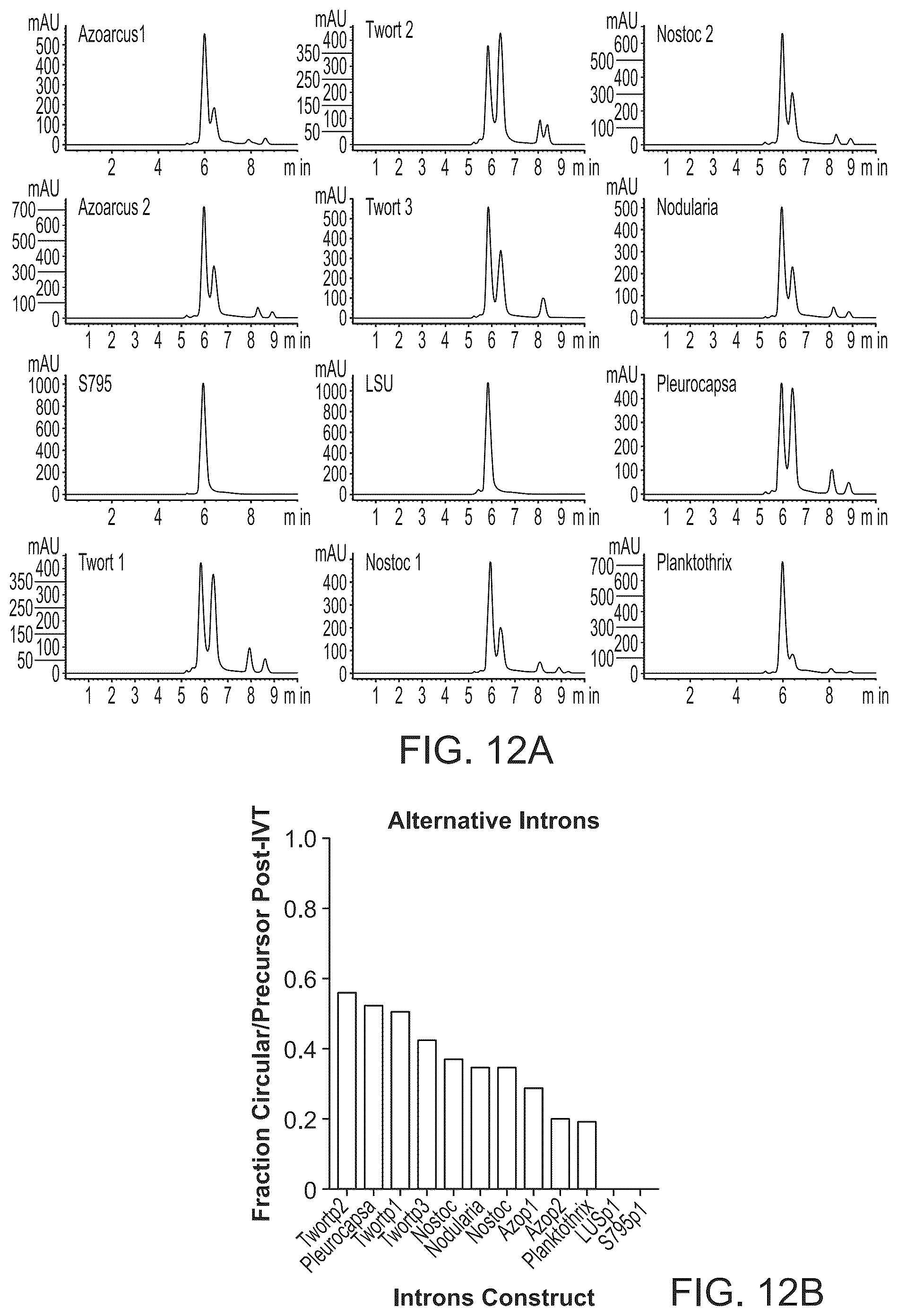 Patent US12297285 Figure 18 – Circular RNA encoding chimeric antigen receptors targeting BCMA