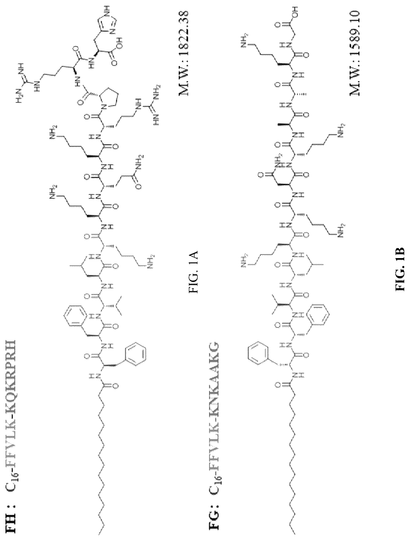 Patent US12297296 Figure 1 – Nano small peptide and its use in preparation of drugs for treating and preventing fundus vascular diseases