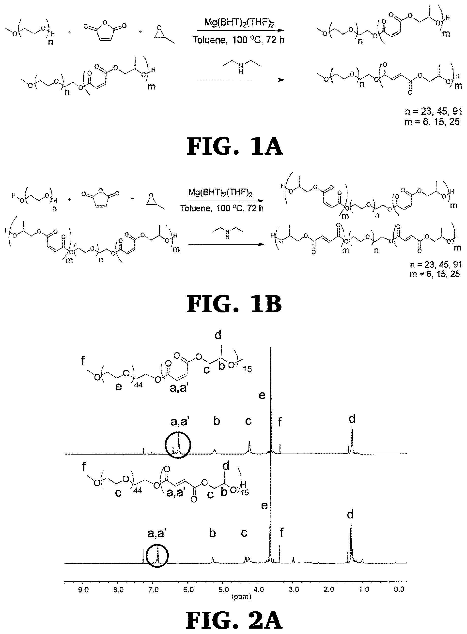 Patent US12297347 — Synthesis and characterization of well defined poly(propylene fumarate) and poly (ethylene glycol) block copolymers — Figure 1