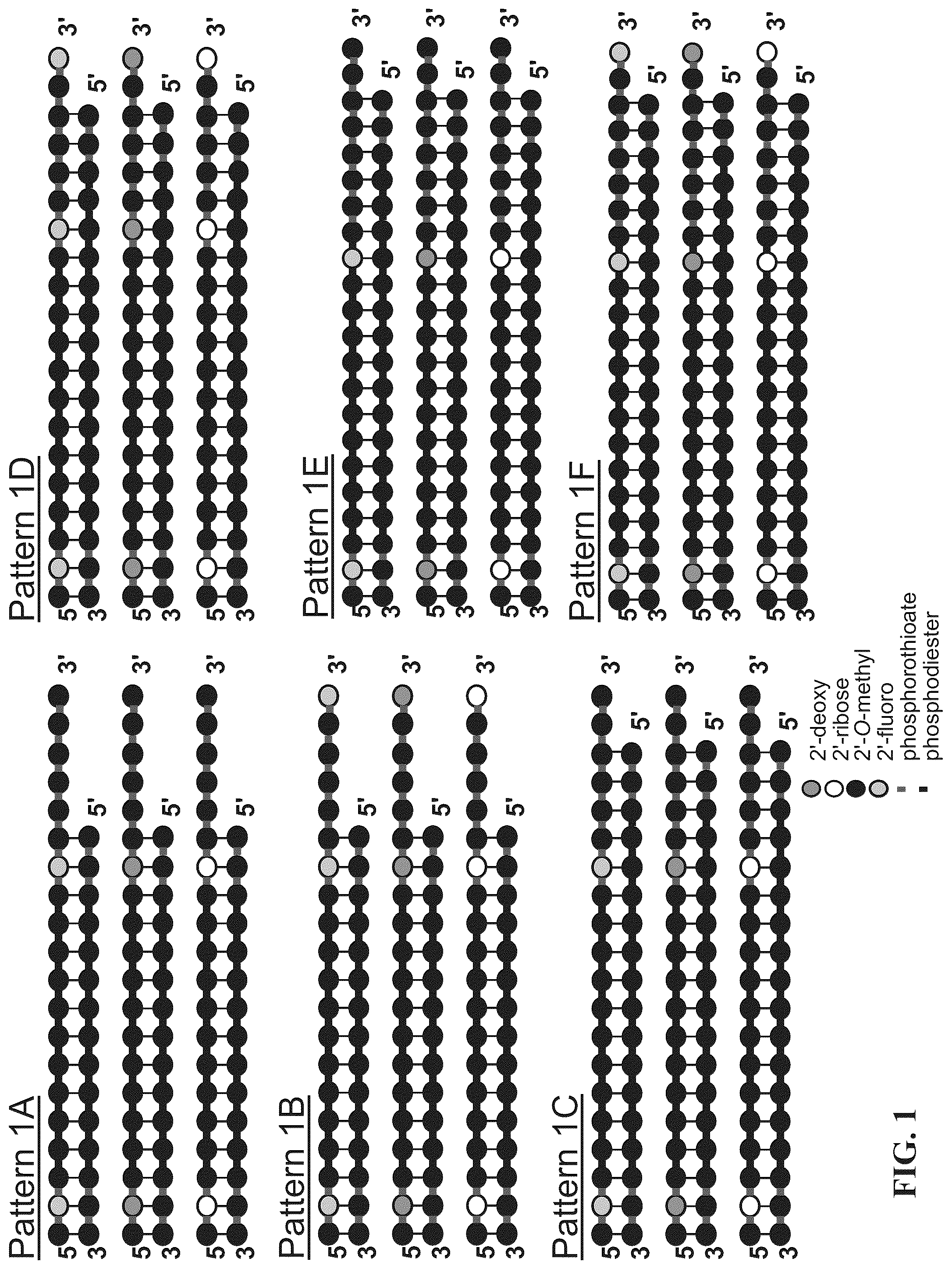 Patent US12297430 — O-methyl rich fully stabilized oligonucleotides — Figure 1
