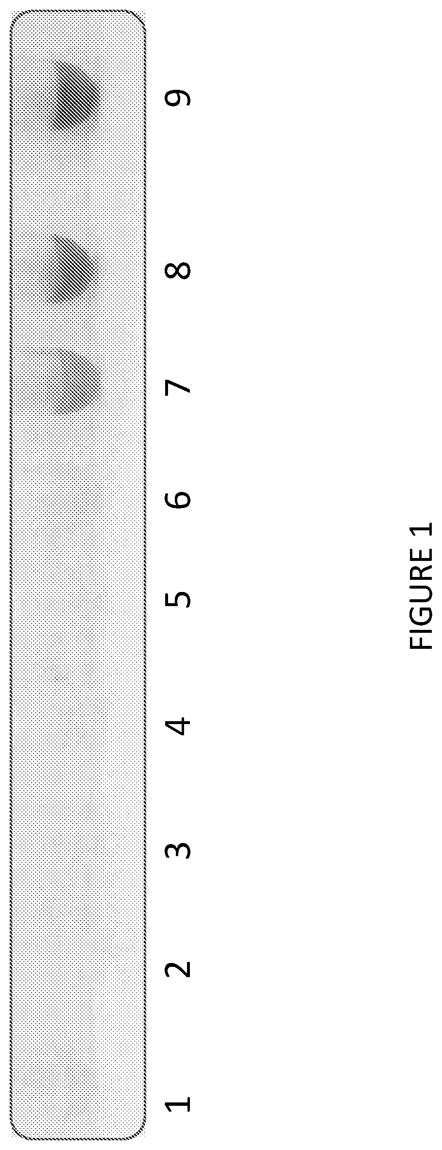 Patent US12297438 — Gene expression elements and systems and use thereof — Figure 1