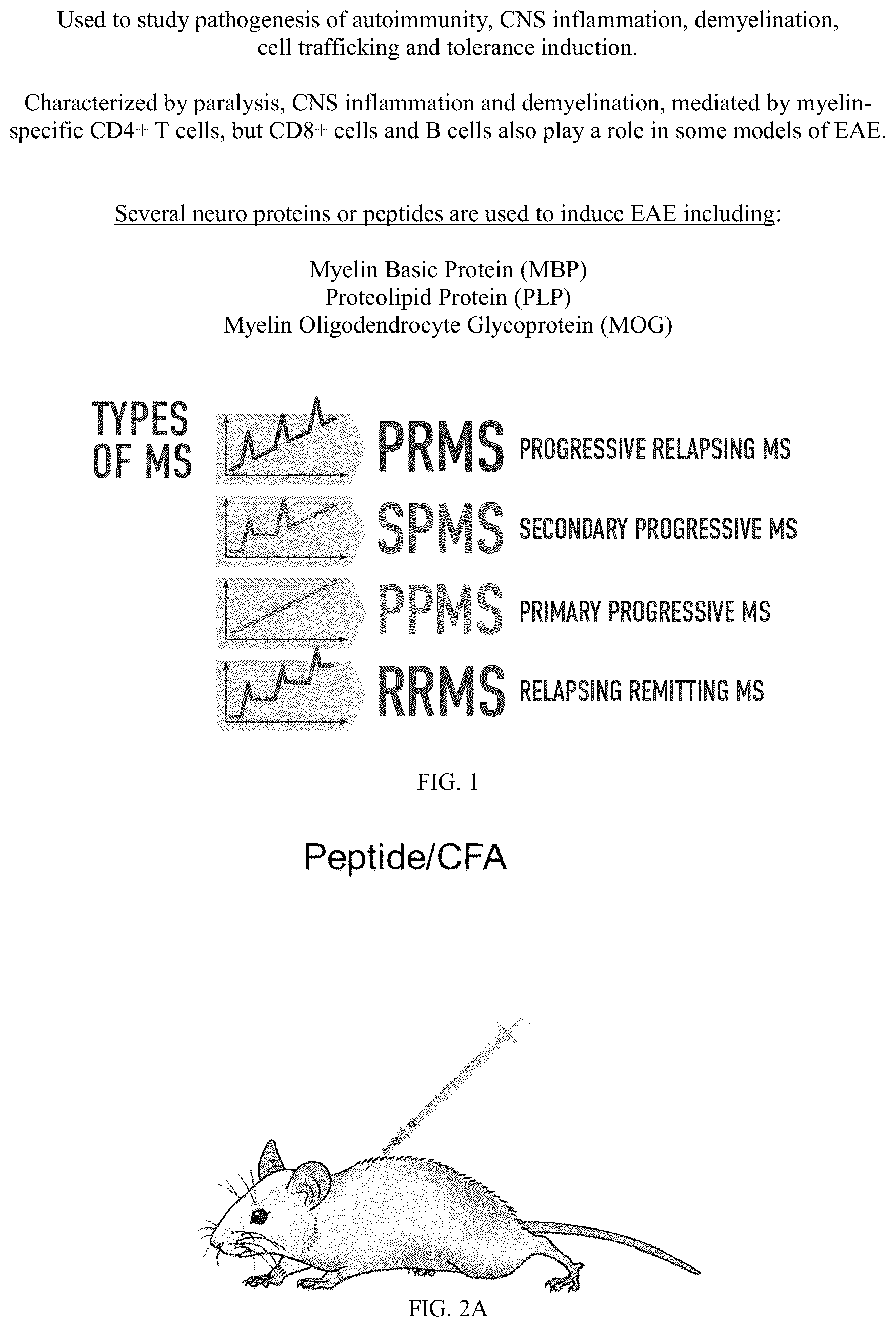 Patent US12297444 — AAV-based gene therapies for treatment of autoimmune diseases — Figure 1