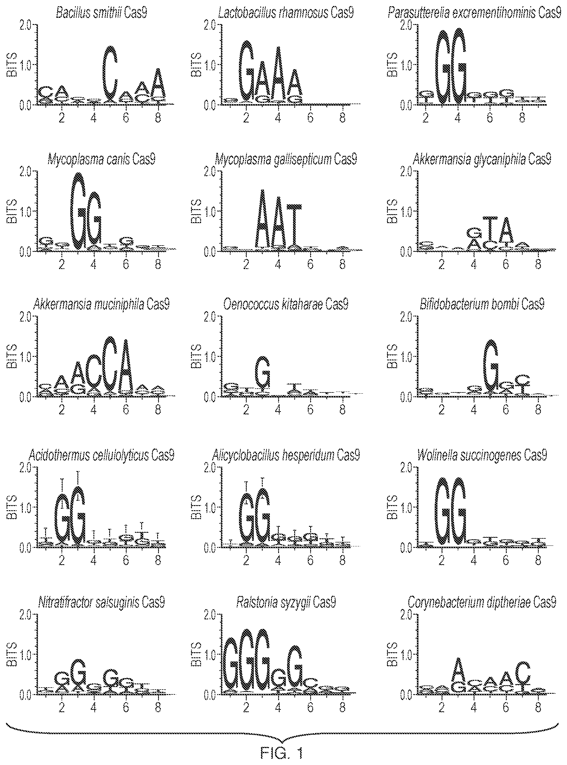 Patent US12297449 — Engineered CAS9 systems for eukaryotic genome modification — Figure 1