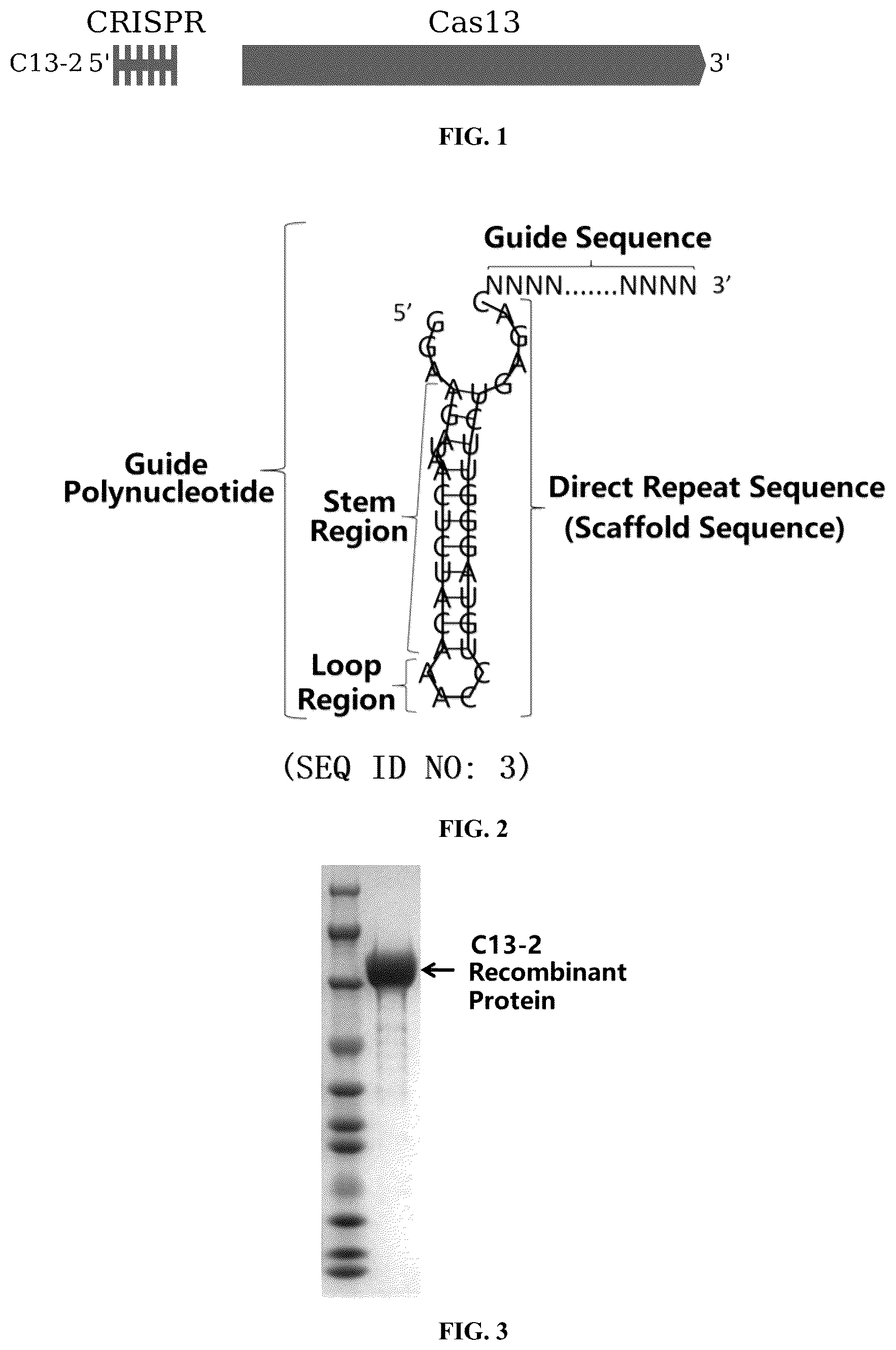 Patent US12297450 — CRISPR-Cas13 system and use thereof — Figure 1