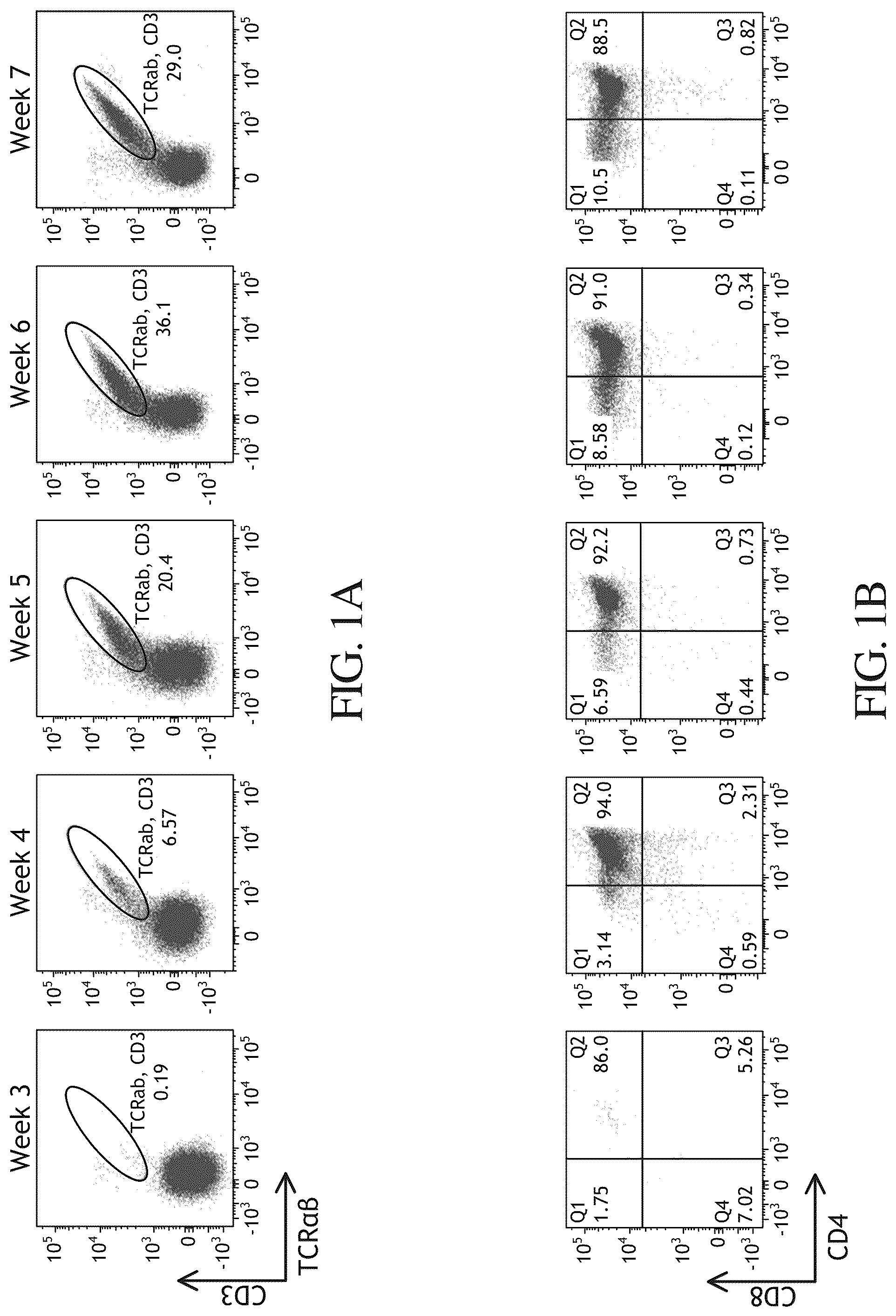 Patent US12297452 — Methods or generating T-cells from stem cells and immunotherapeutic methods using the T-cells — Figure 1