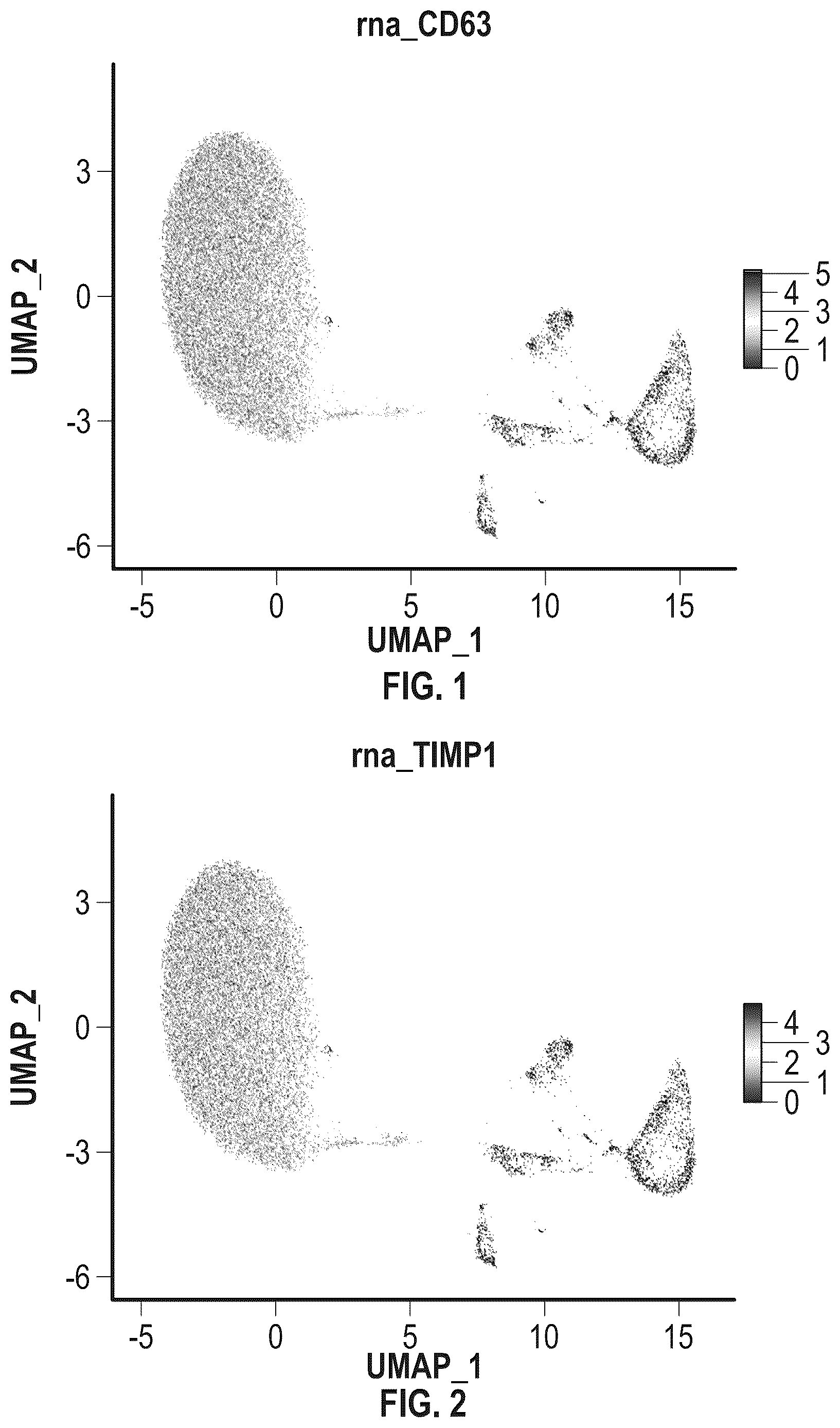 Patent US12297454 — Mammalian cell population and medicaments for cell therapies in canines and improved cell cultivation methods — Figure 1