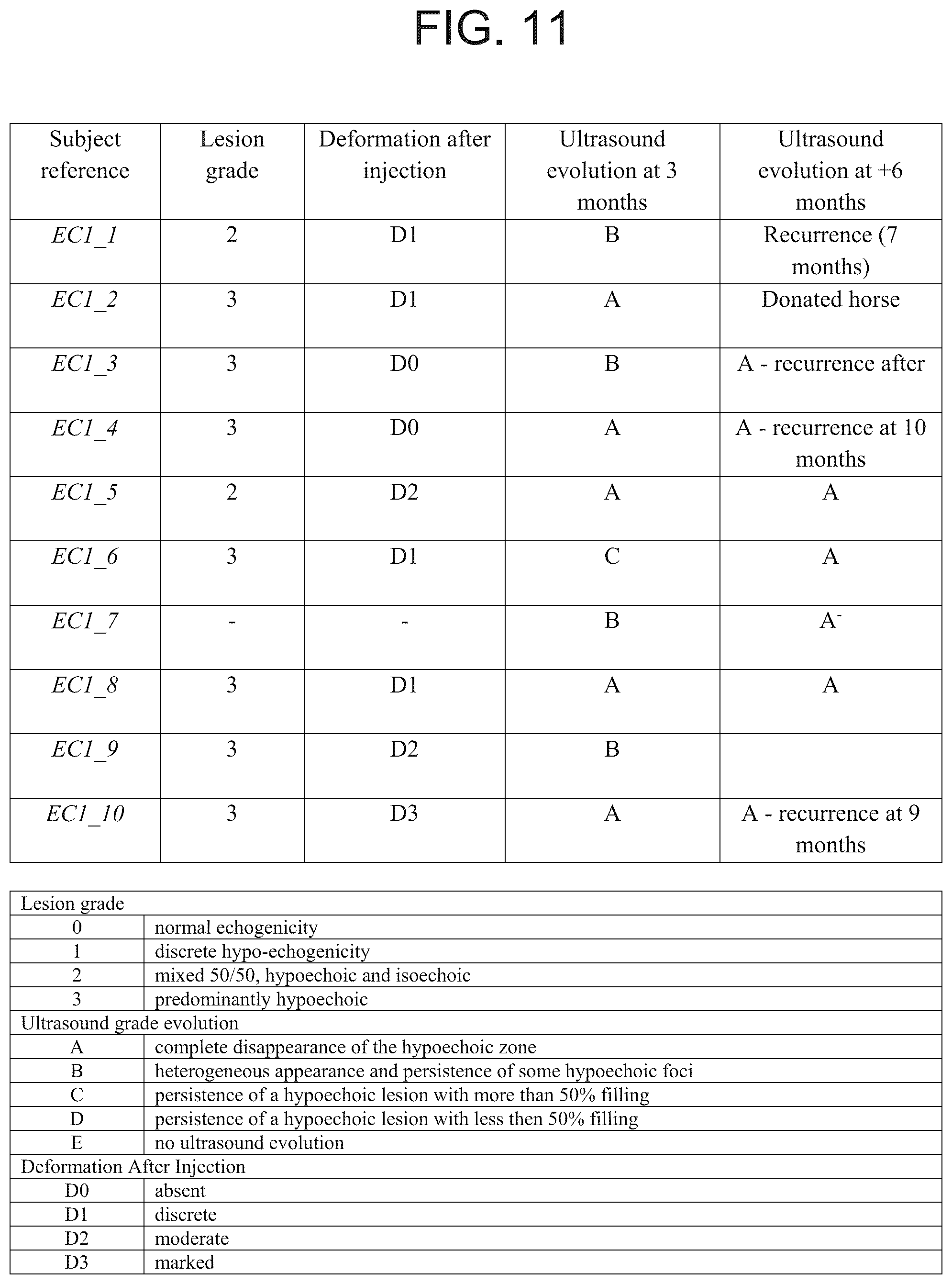 Patent US12297454 Figure 7 – Mammalian cell population and medicaments for cell therapies in canines and improved cell cultivation methods