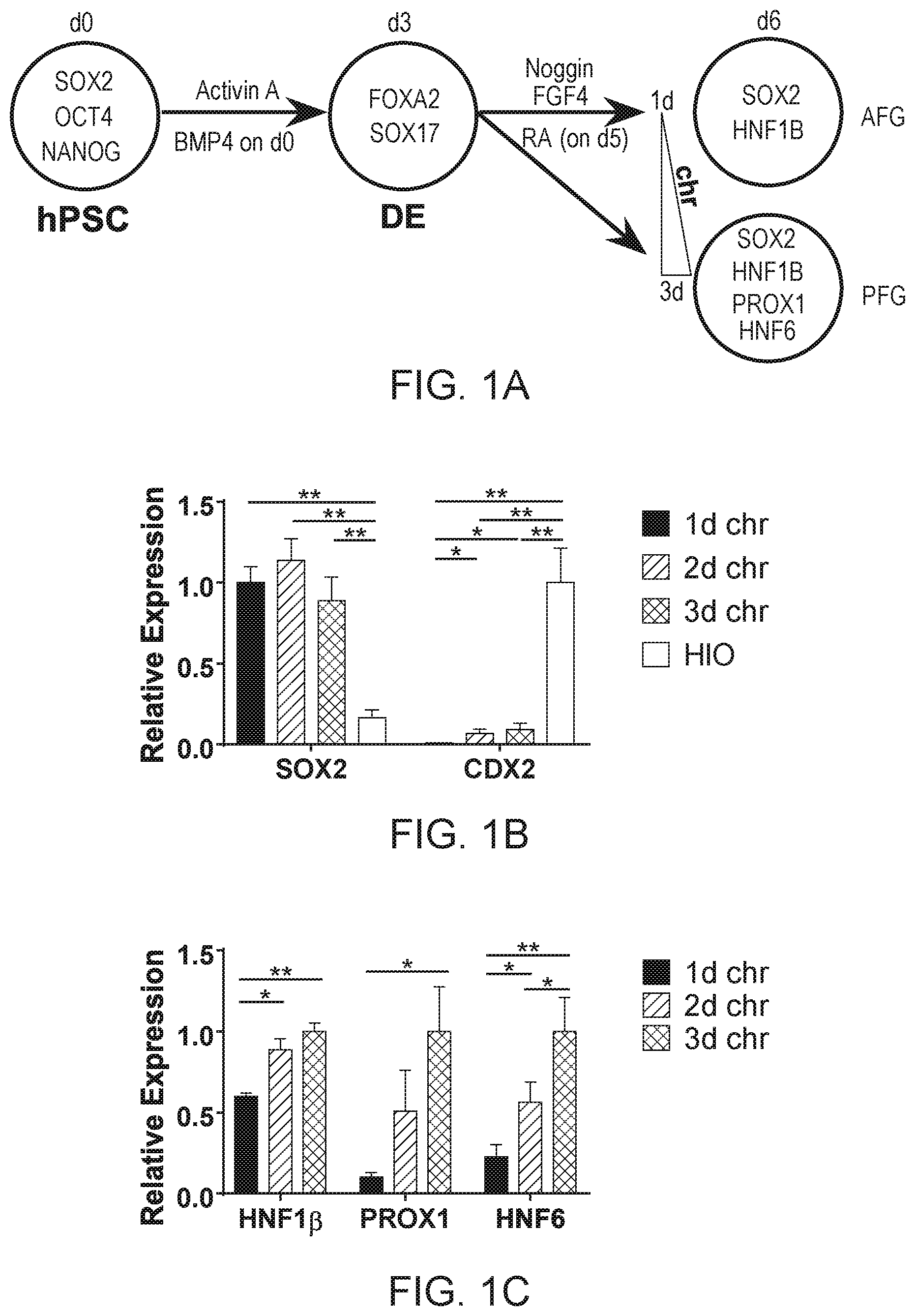 Patent US12297457 — Esophageal tissue and/or organoid compositions and methods of making same — Figure 1