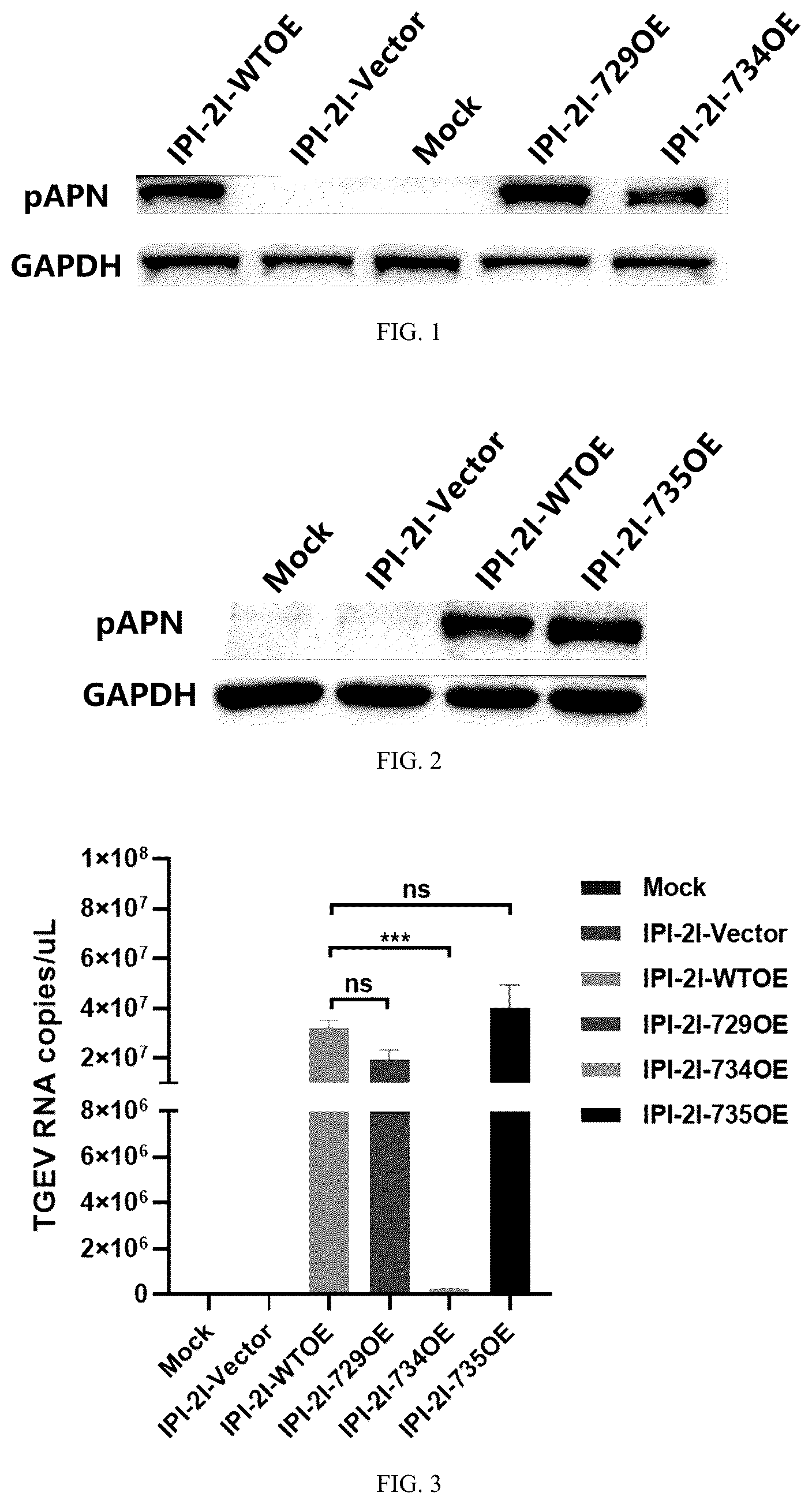 Patent US12297468 Figure 1 – pAPN mutant and composition for site-directed modification of pAPN gene and application thereof