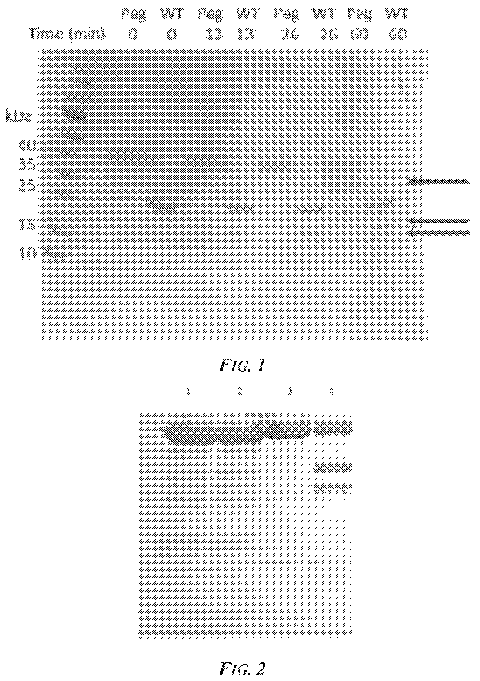 Patent US12297469 — Methods and compositions for inhibiting ADAM10 biological activities — Figure 1