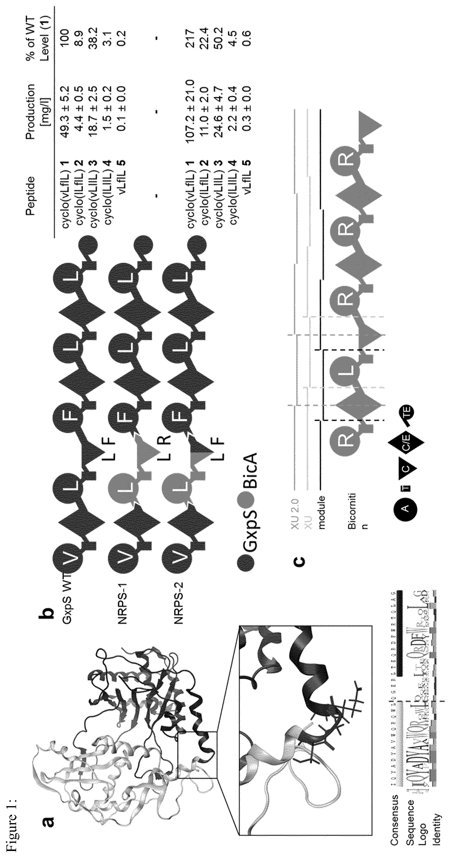 Patent US12297475 — System for the assembly and modification of non-ribosomal peptide synthases — Figure 1
