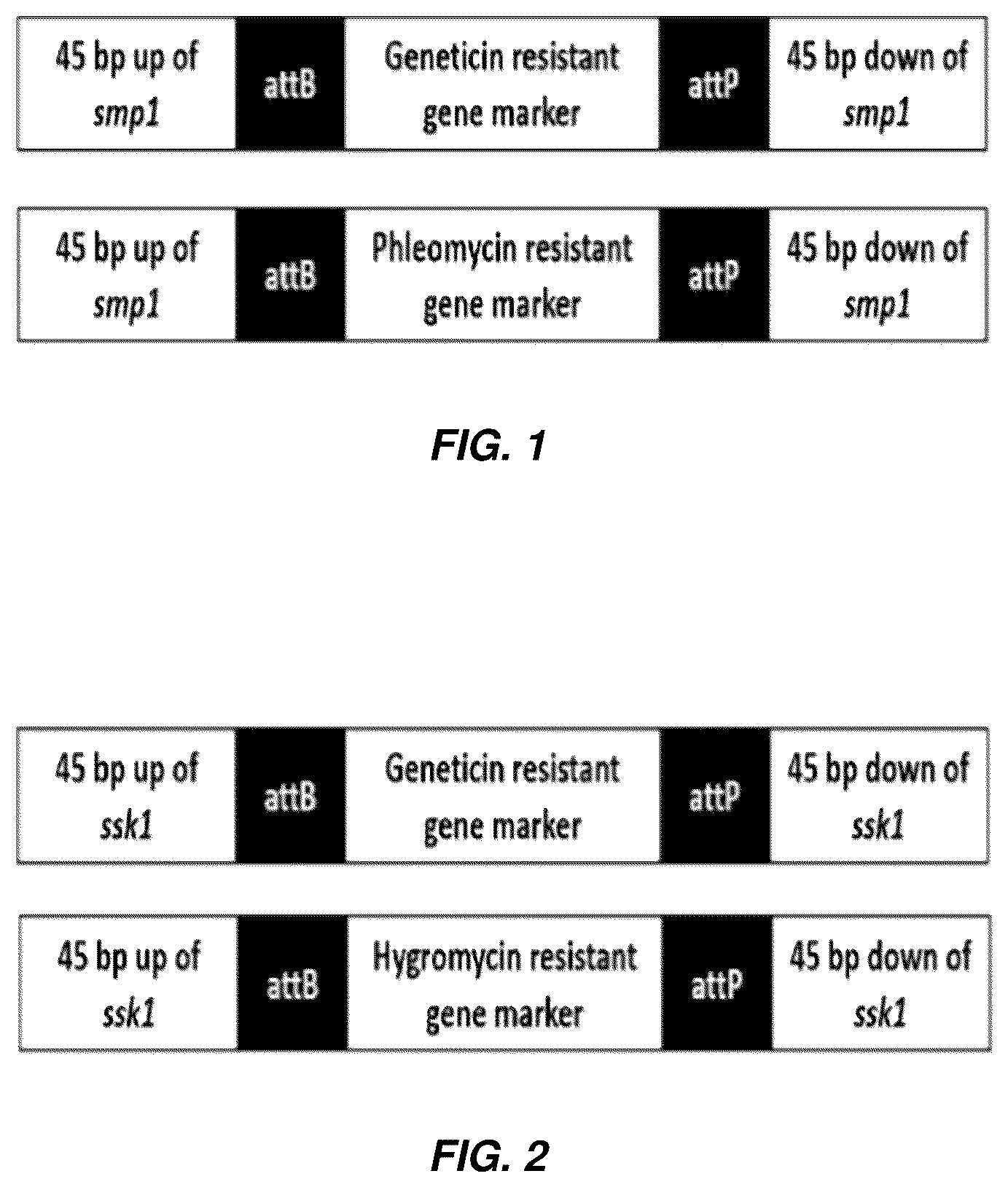 Patent US12297478 — Industrially useful strains of yeast — Figure 1
