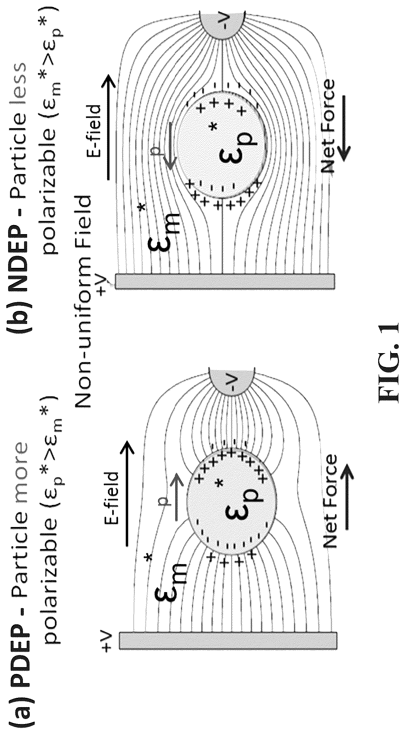 Patent US12297481 — Amplifier system and controls for dielectrophoretic tracking in microfluidic devices — Figure 1