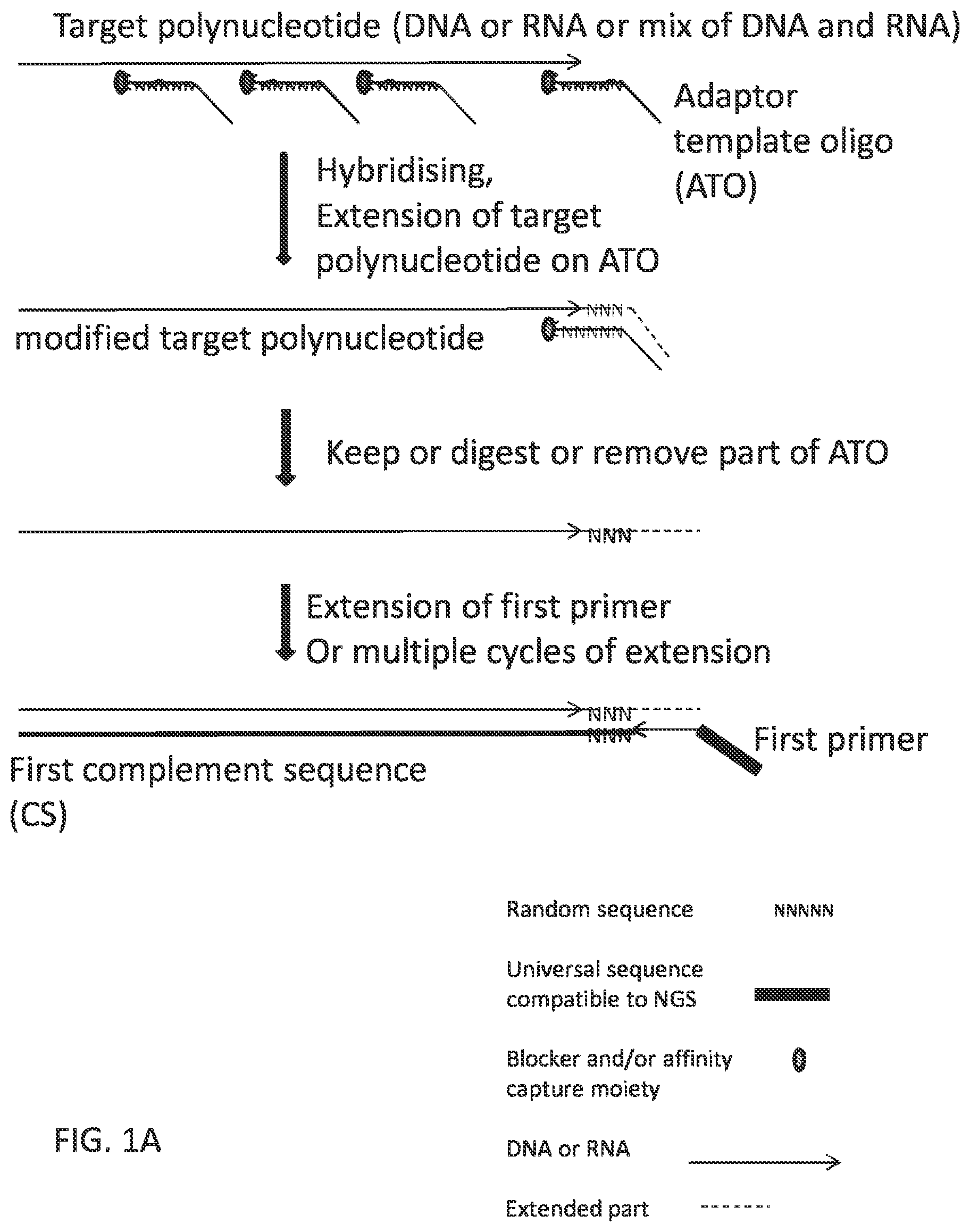 Patent US12297484 — Methods, compositions, and kits for preparing nucleic acid libraries — Figure 1