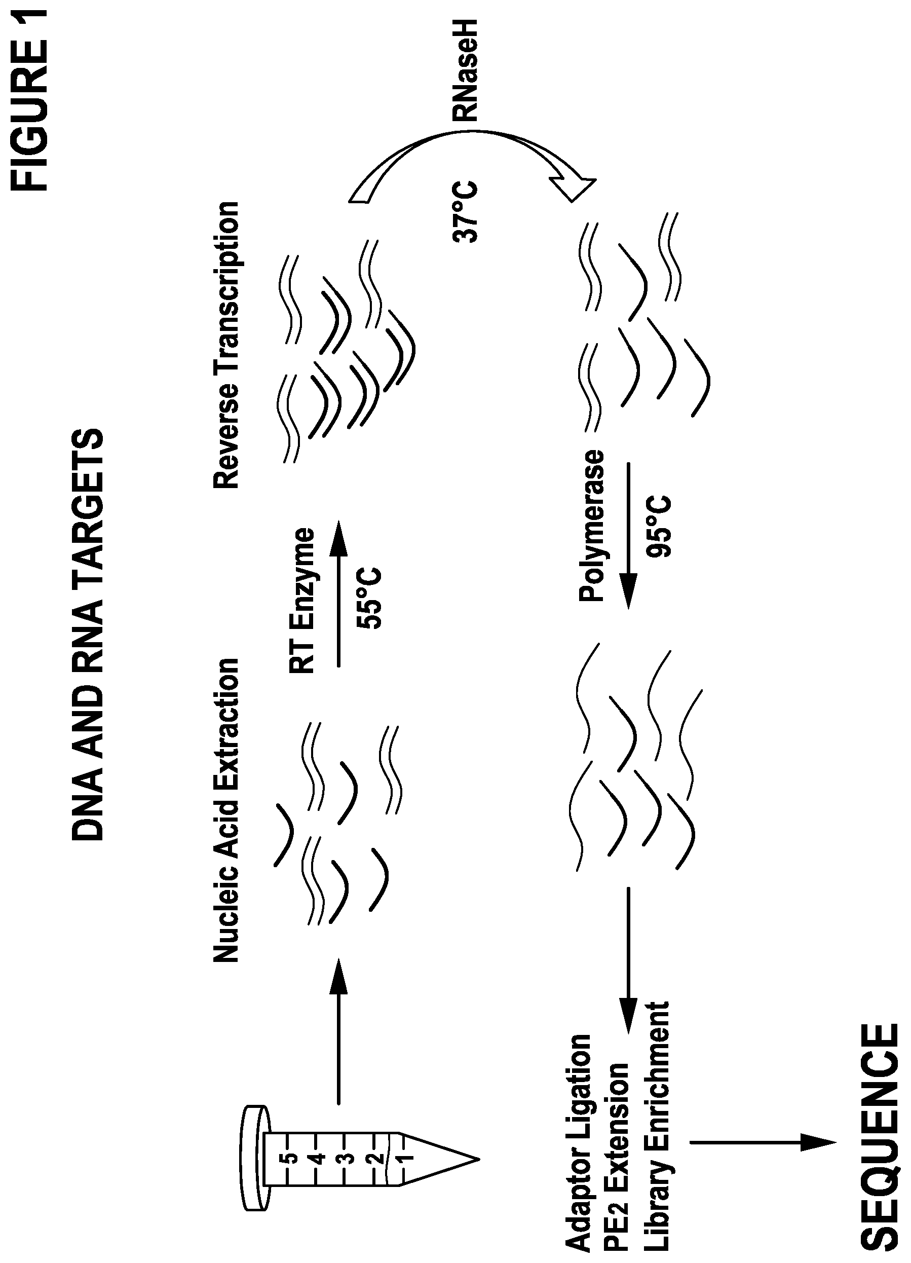 Patent US12297491 — Primer extension target enrichment and improvements thereto including simultaneous enrichment of DNA and RNA — Figure 1