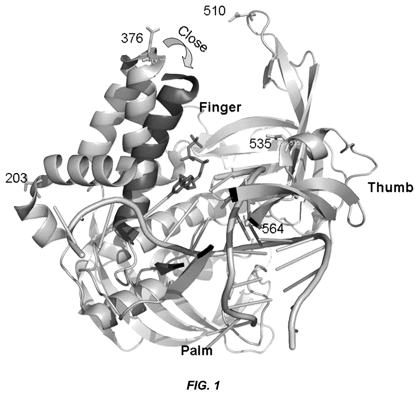 Patent US12297498 — Conformational probes and methods for sequencing nucleic acids — Figure 1