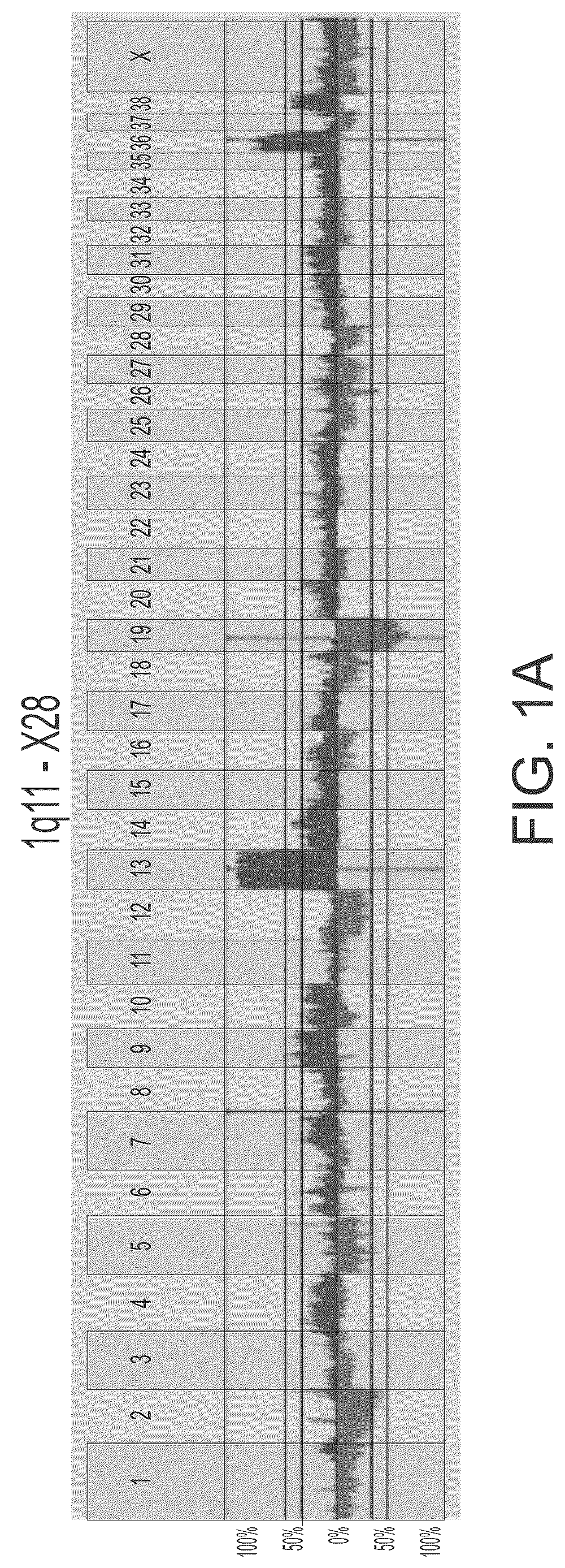 Patent US12297504 Figure 1 – Chromosomal assessment to diagnose urogenital malignancy in dogs