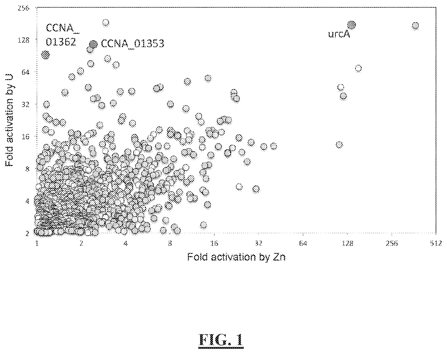 Patent US12297513 — Biosensors for detecting and/or neutralizing bioavailable uranium and related U-sensitive genetic molecular components, gene cassettes, vectors, genetic circuits, compositions, methods and systems — Figure 1