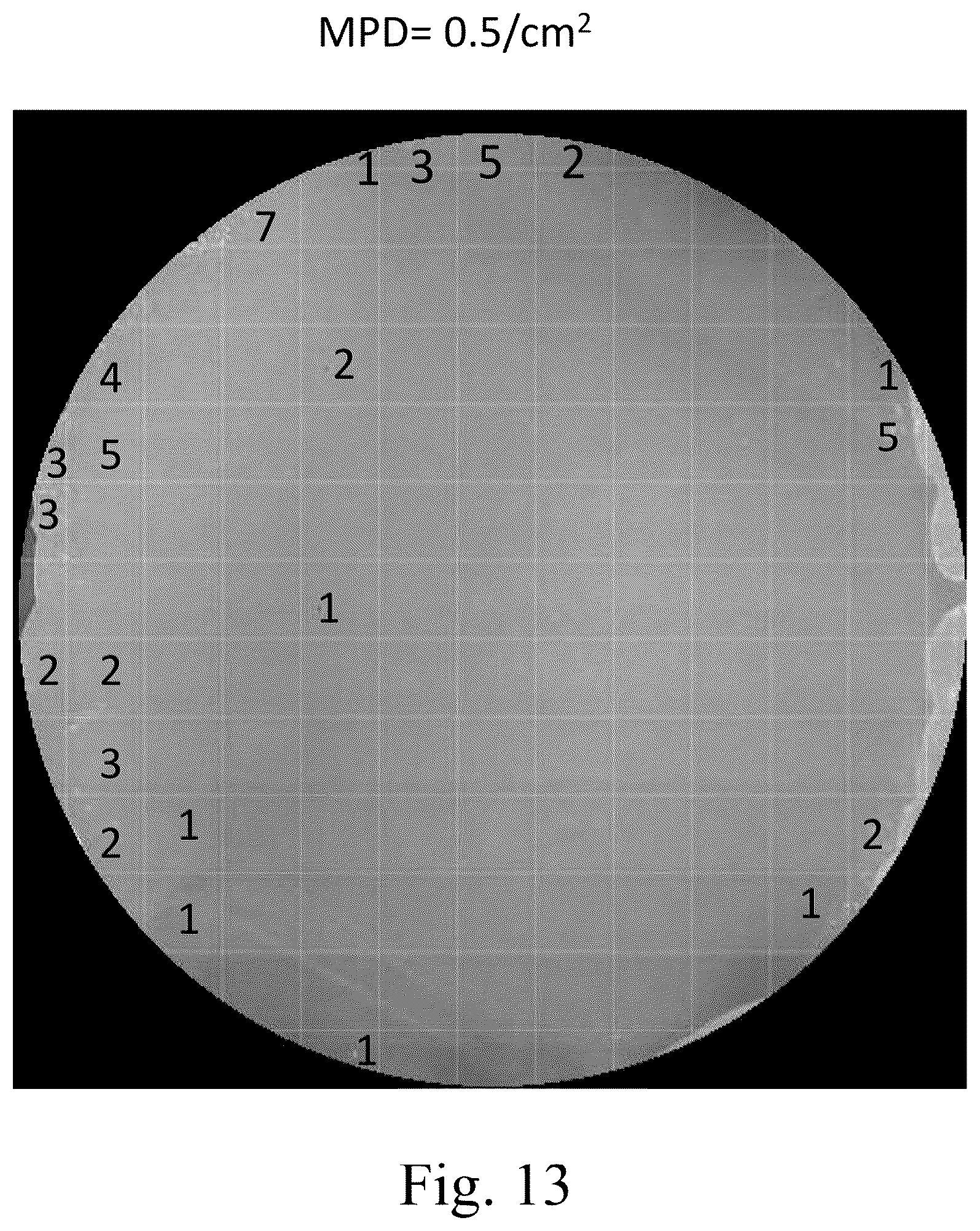 Patent US12297561 Figure 13 – Semi-insulating single-crystal silicon carbide bulk material and powder