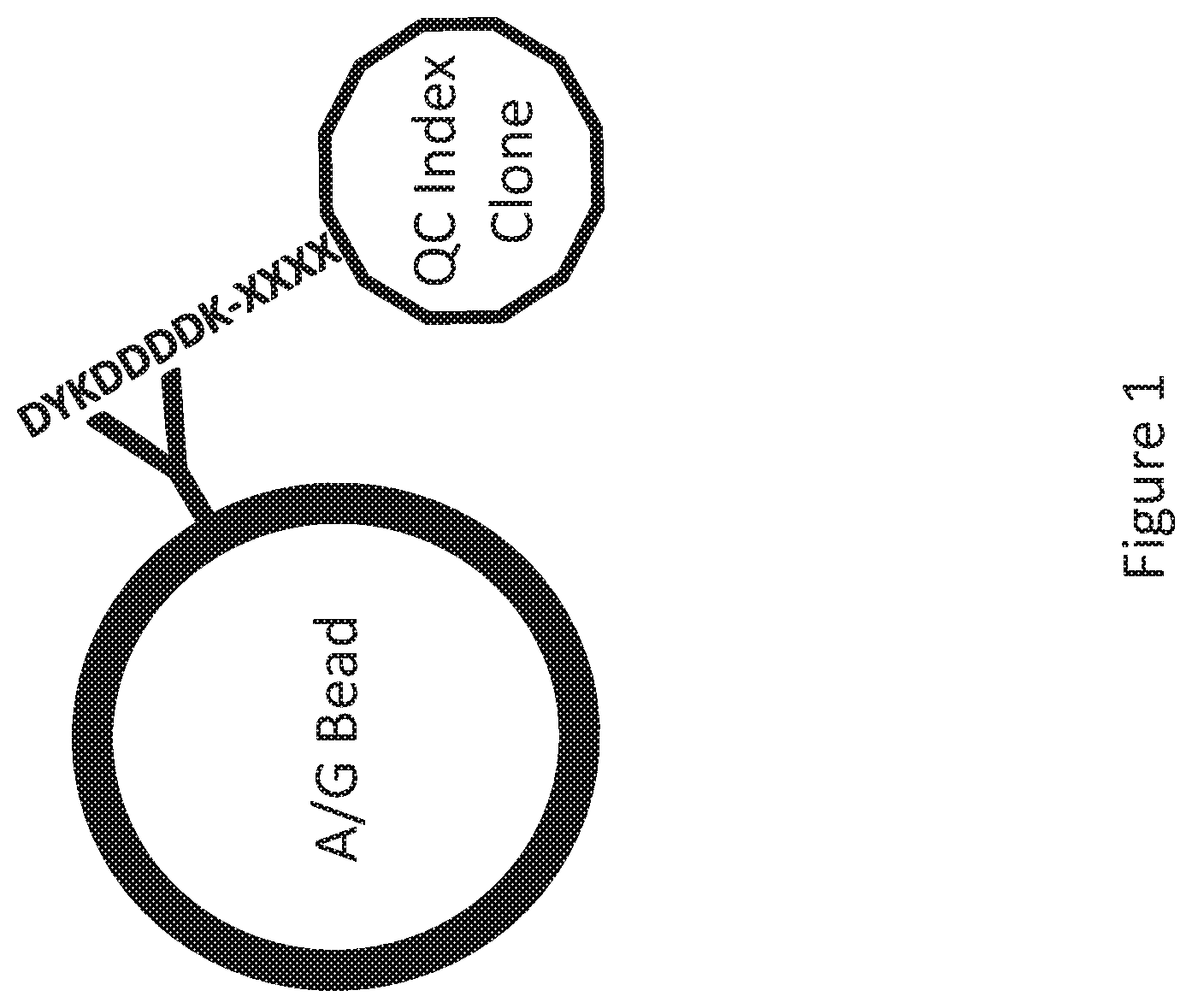 Patent US12297564 — Quality control reagents and methods for serum antibody profiling — Figure 1