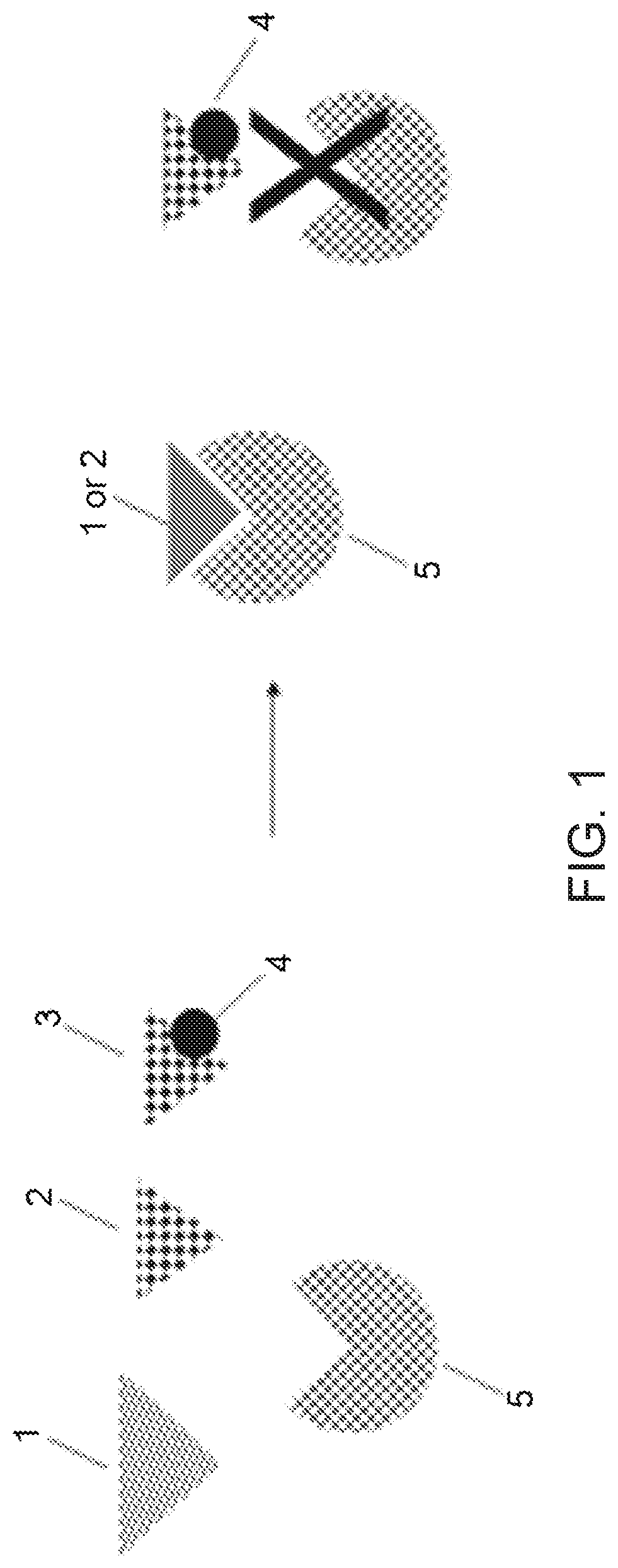 Patent US12297565 — Methods and means for preparing a library for sequencing — Figure 1
