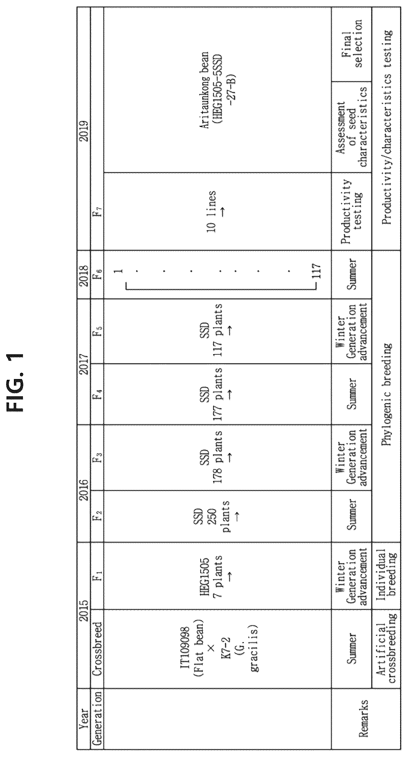 Patent US12302841 — Soybean variety comprising high content of epicatechin — Figure 1