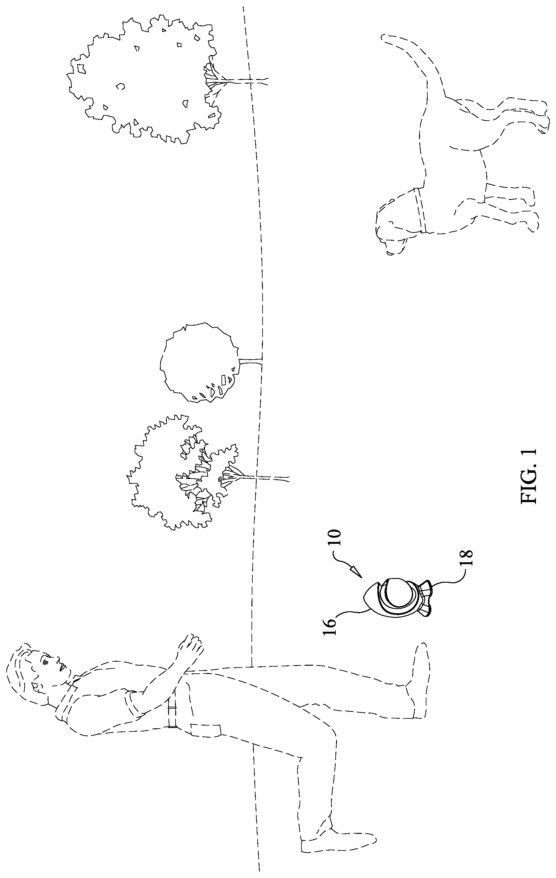 Patent US12302862 — Pet toy — Figure 1