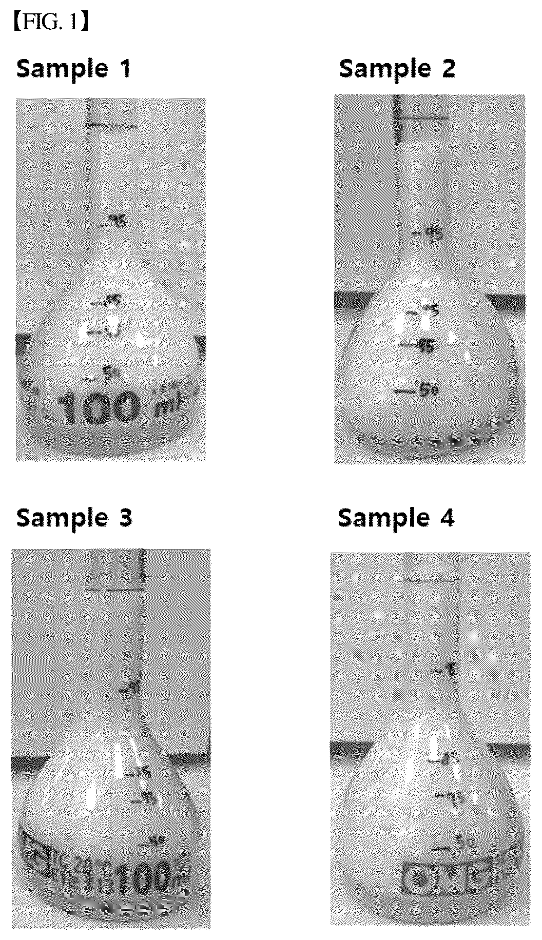 Patent US12302917 — Emulsified composition containing allulose — Figure 1