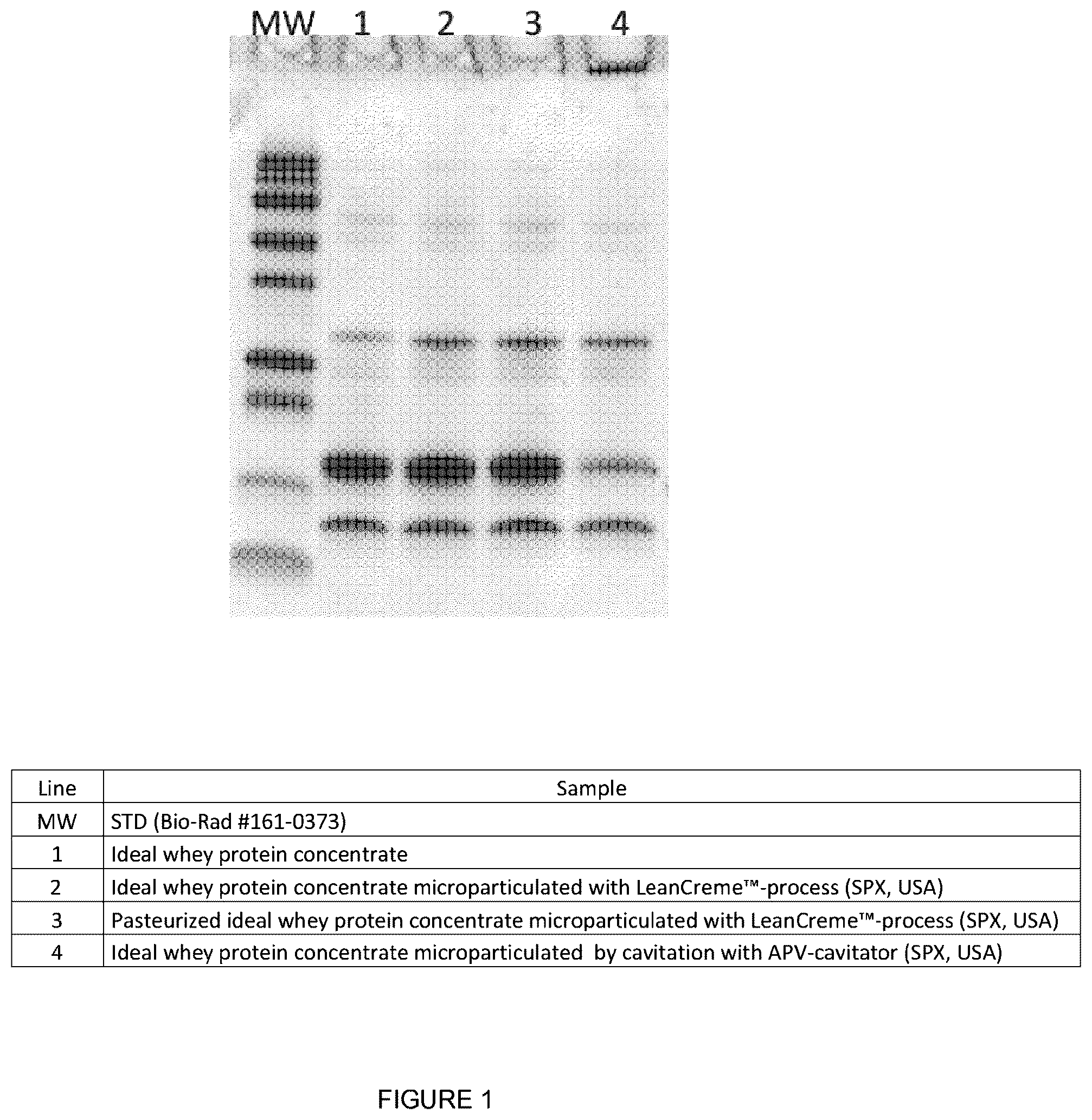 Patent US12302919 — Whey preparation obtained by cavitation and uses thereof — Figure 1